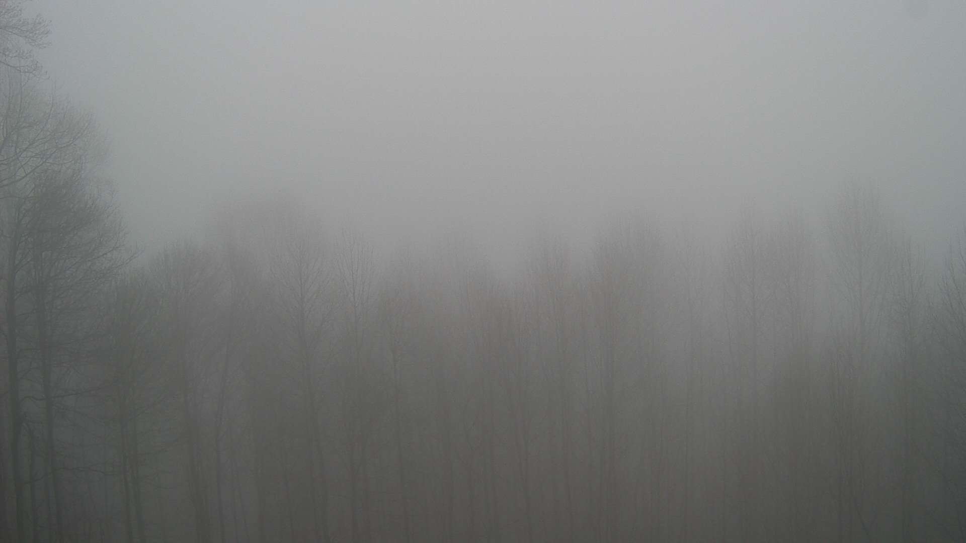 click for next image... slideshow image