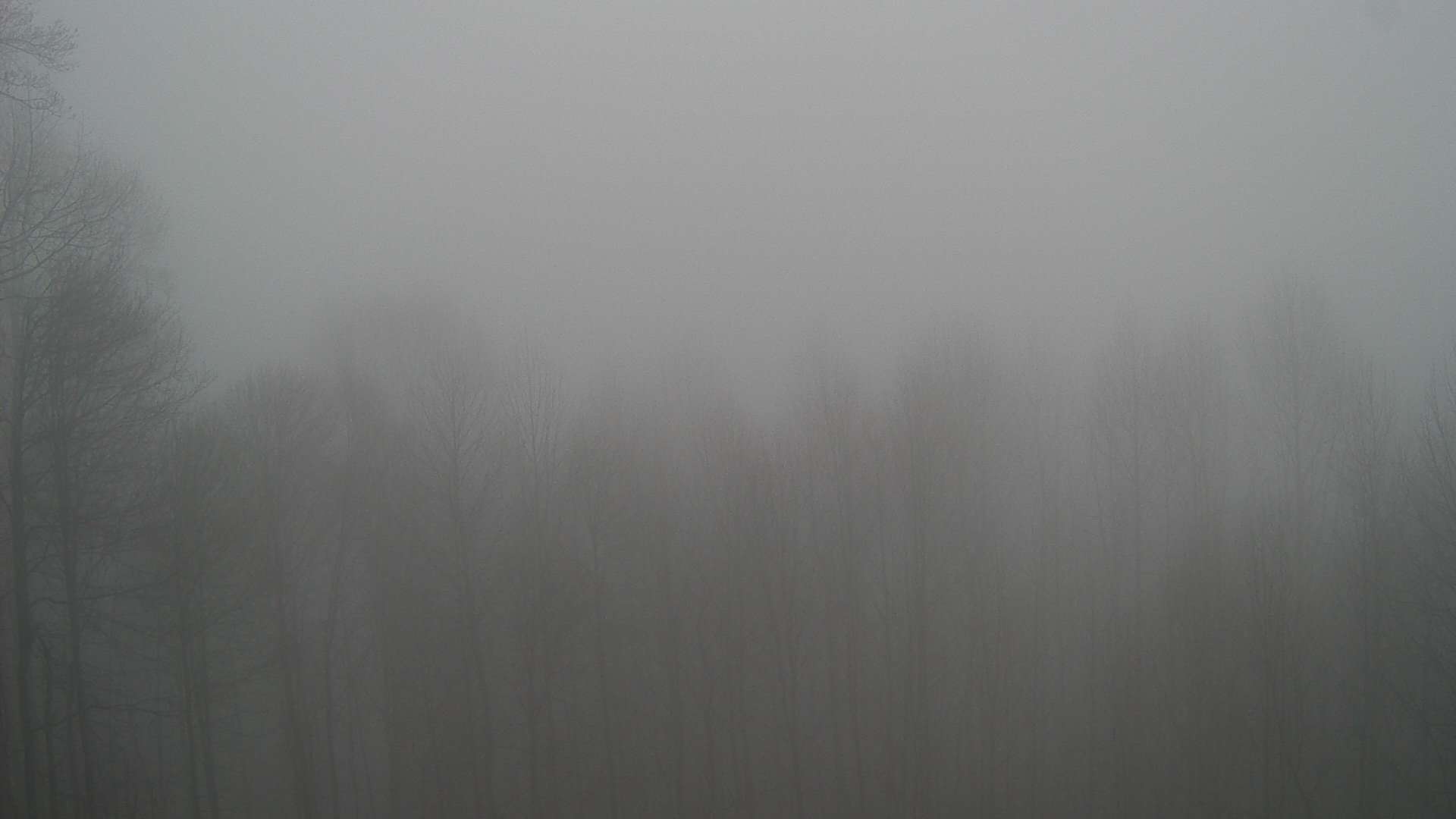 click for next image... slideshow image