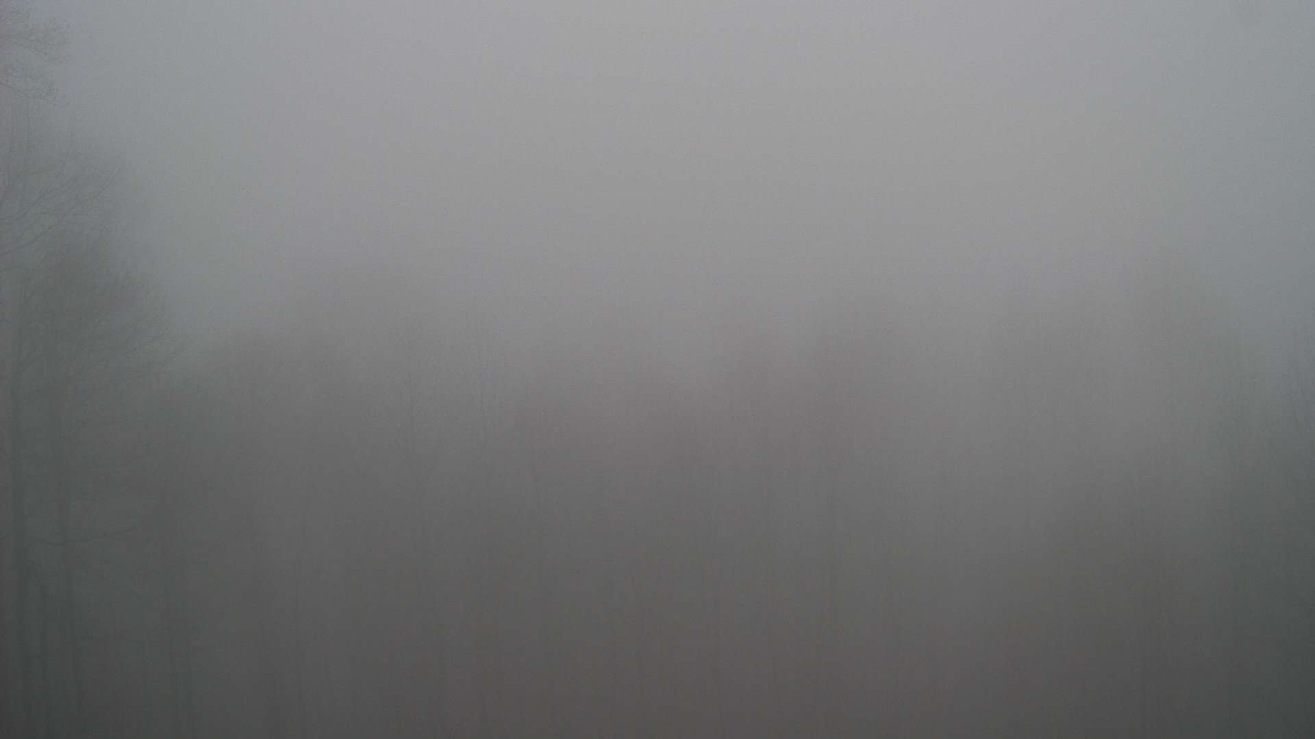 click for next image... slideshow image