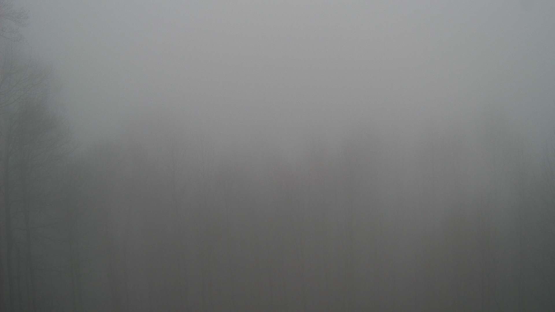 click for next image... slideshow image