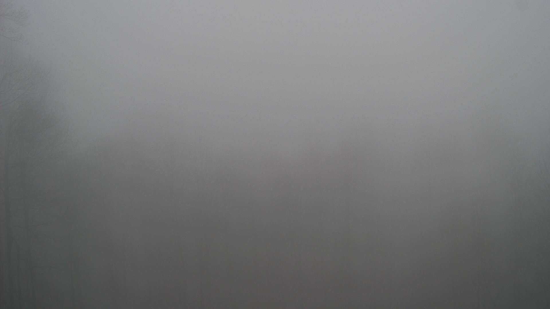 click for next image... slideshow image