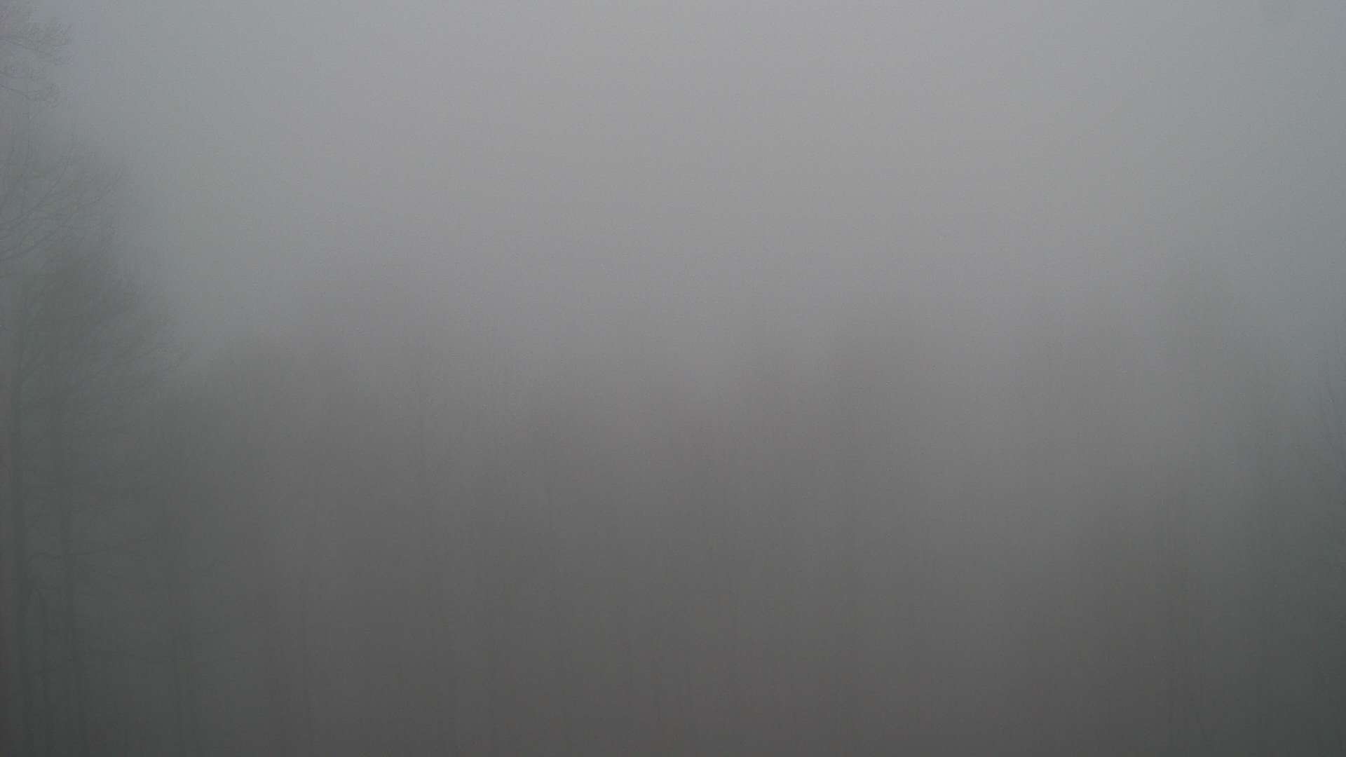 click for next image... slideshow image