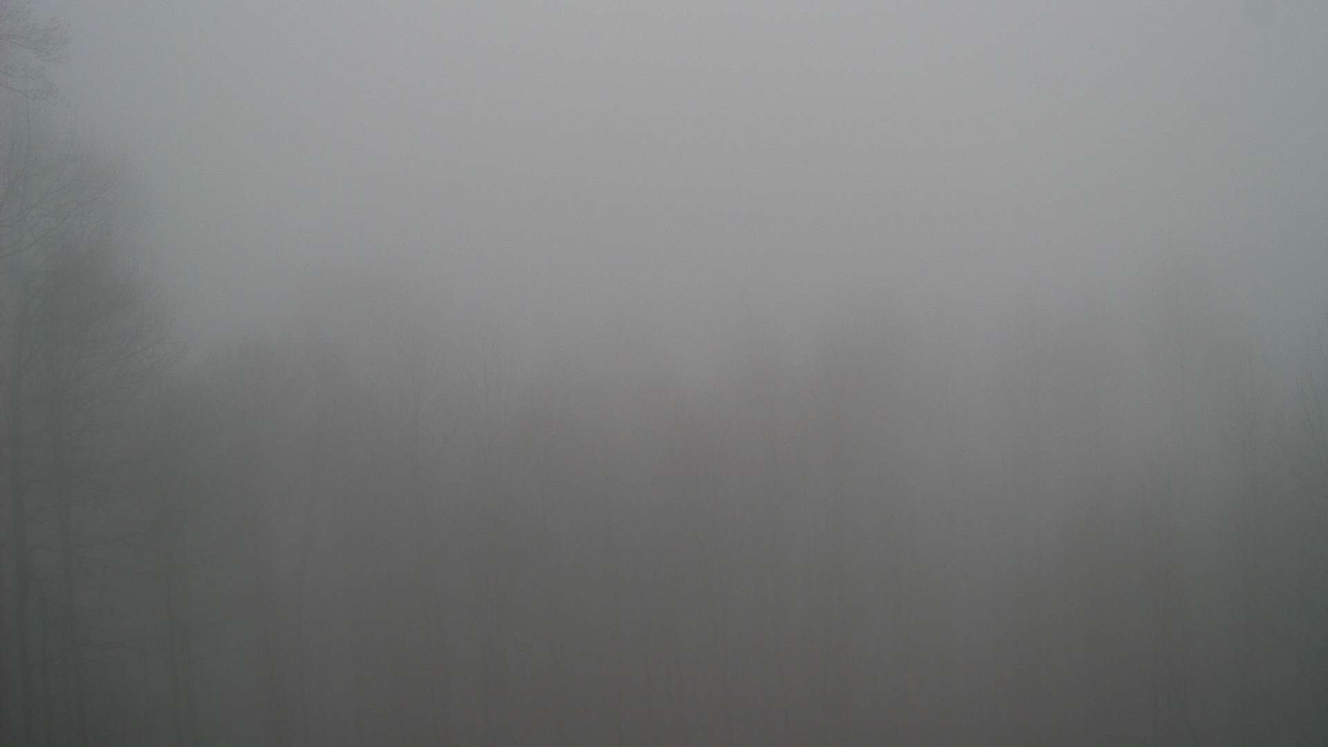 click for next image... slideshow image