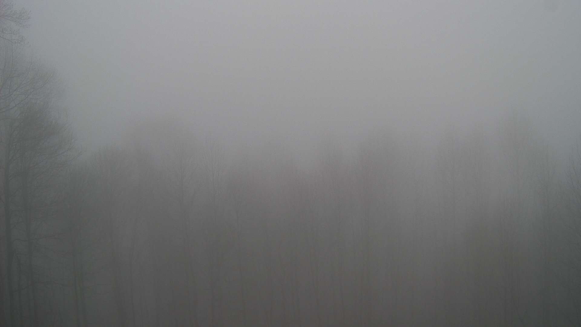 click for next image... slideshow image