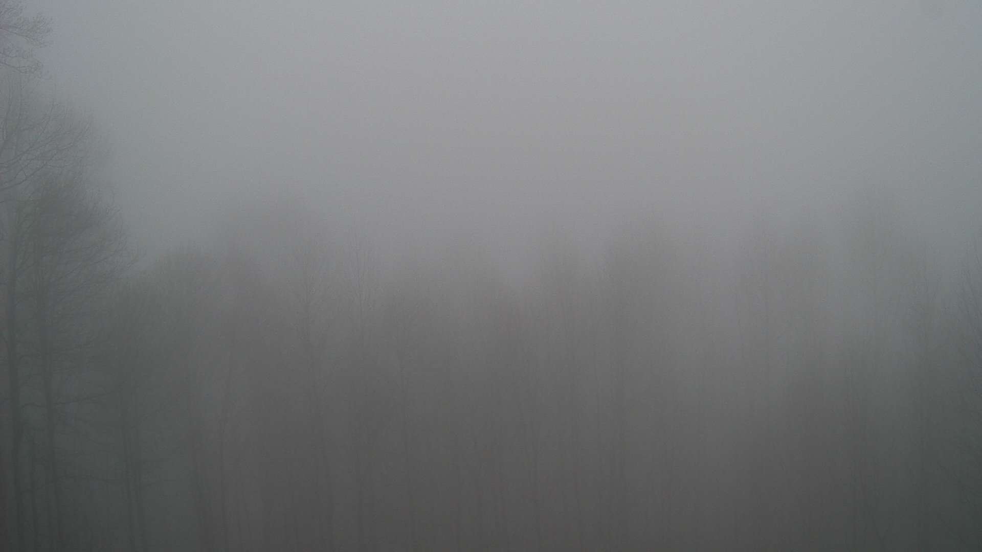 click for next image... slideshow image