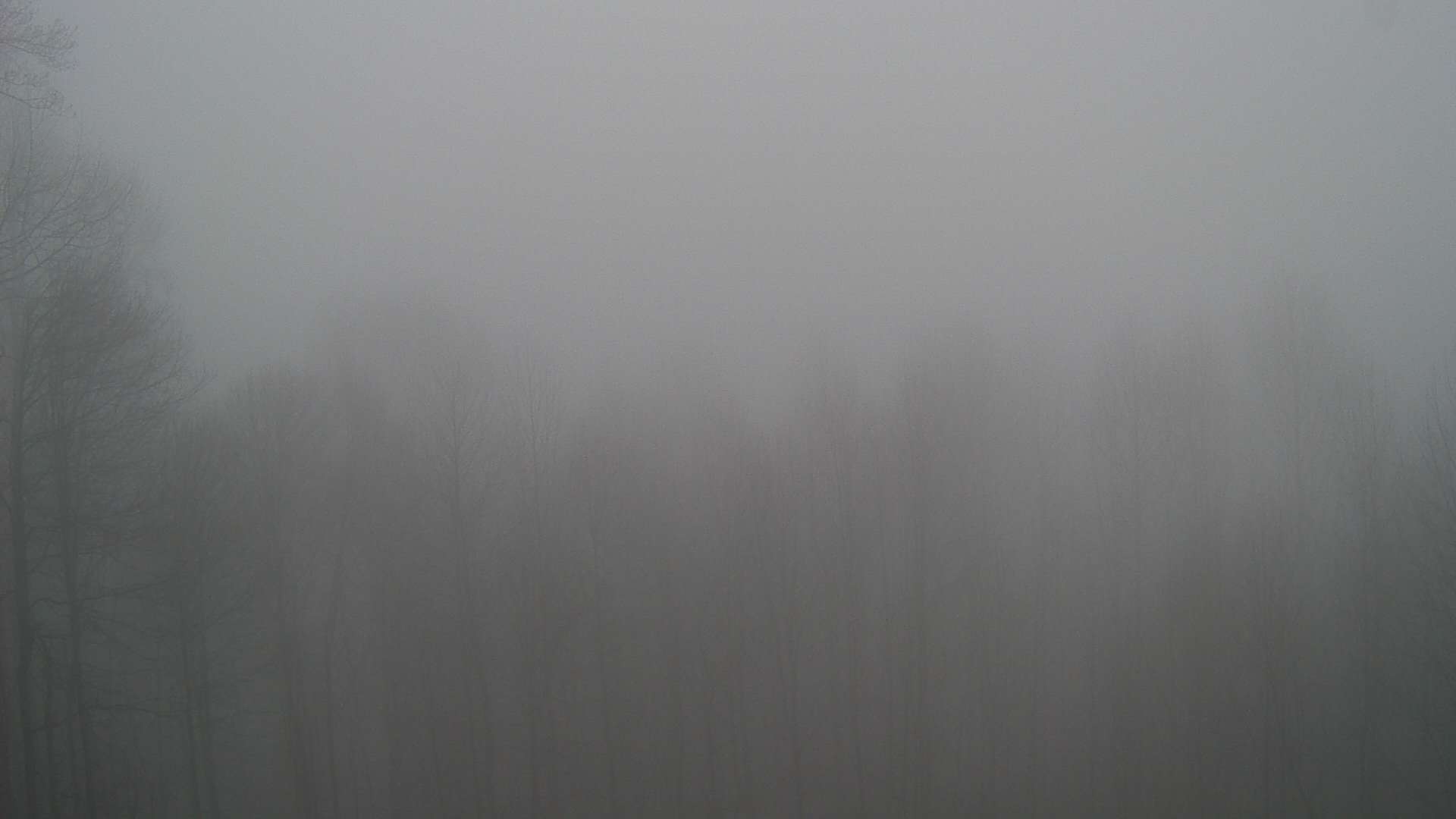 click for next image... slideshow image