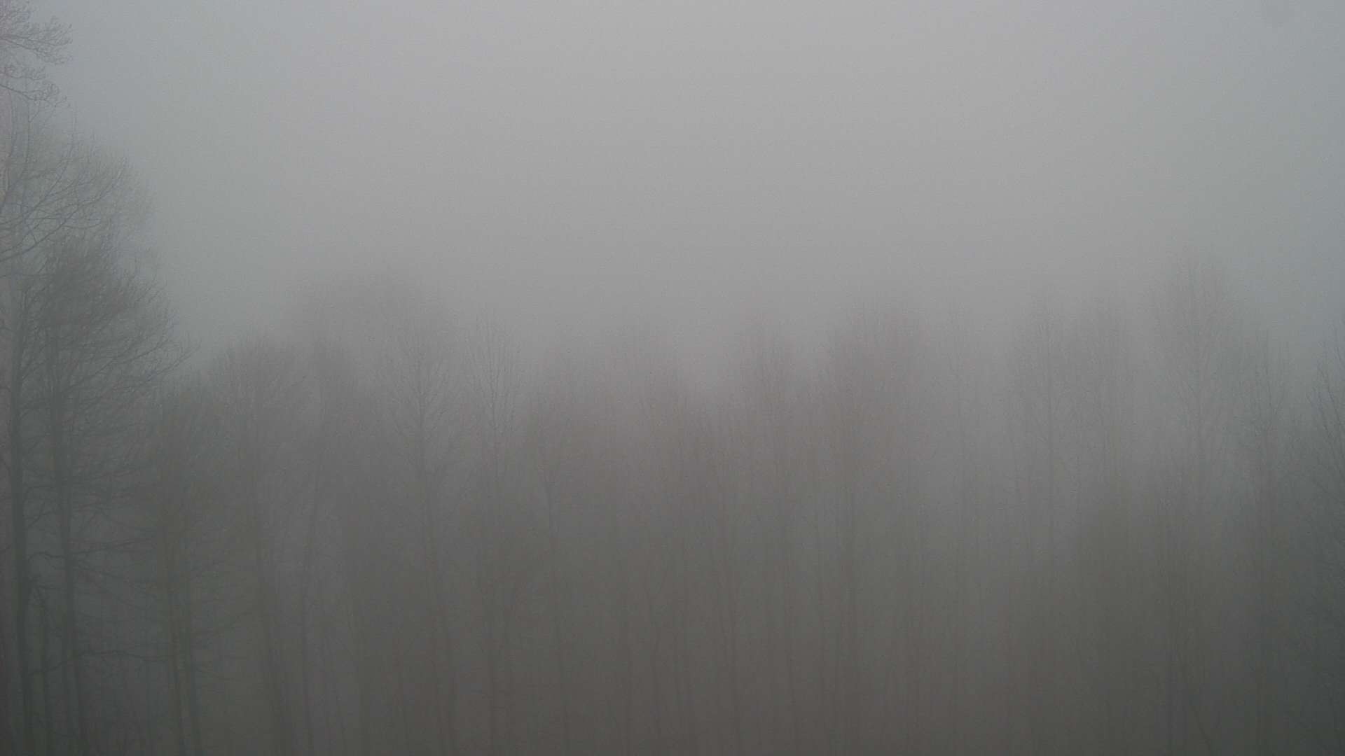 click for next image... slideshow image