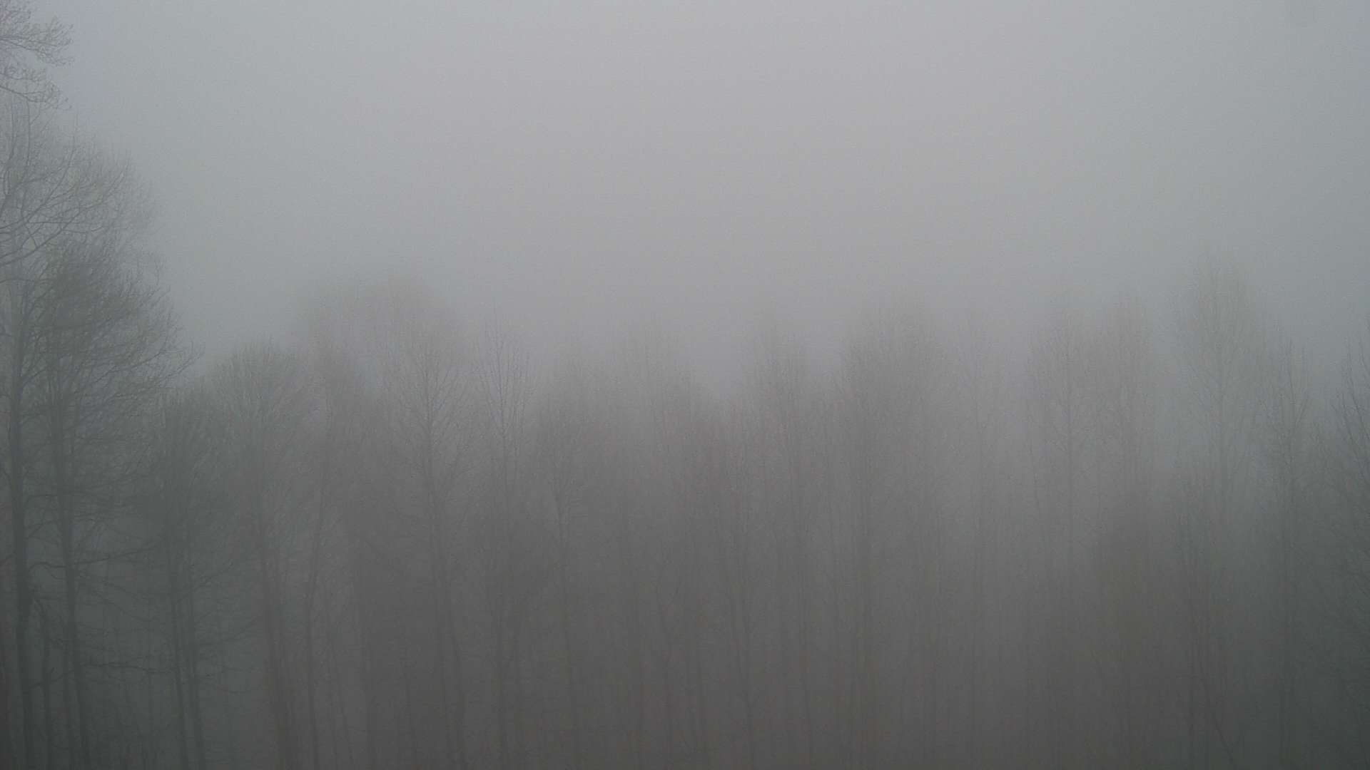 click for next image... slideshow image