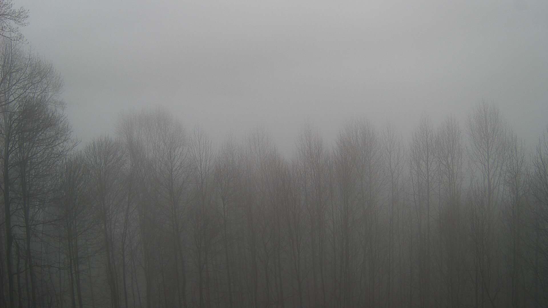 click for next image... slideshow image