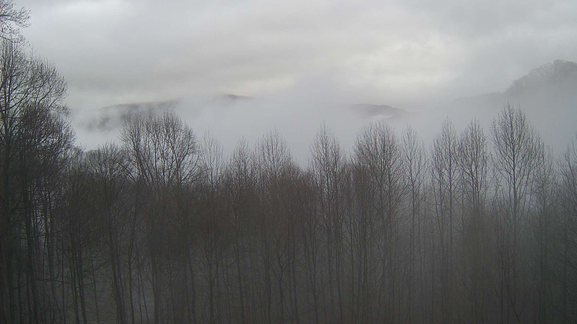 click for next image... slideshow image