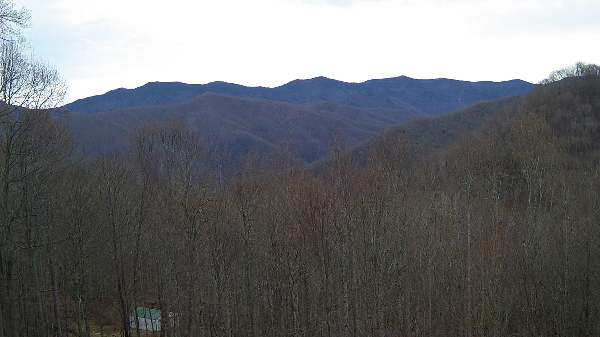 click for next image... slideshow image