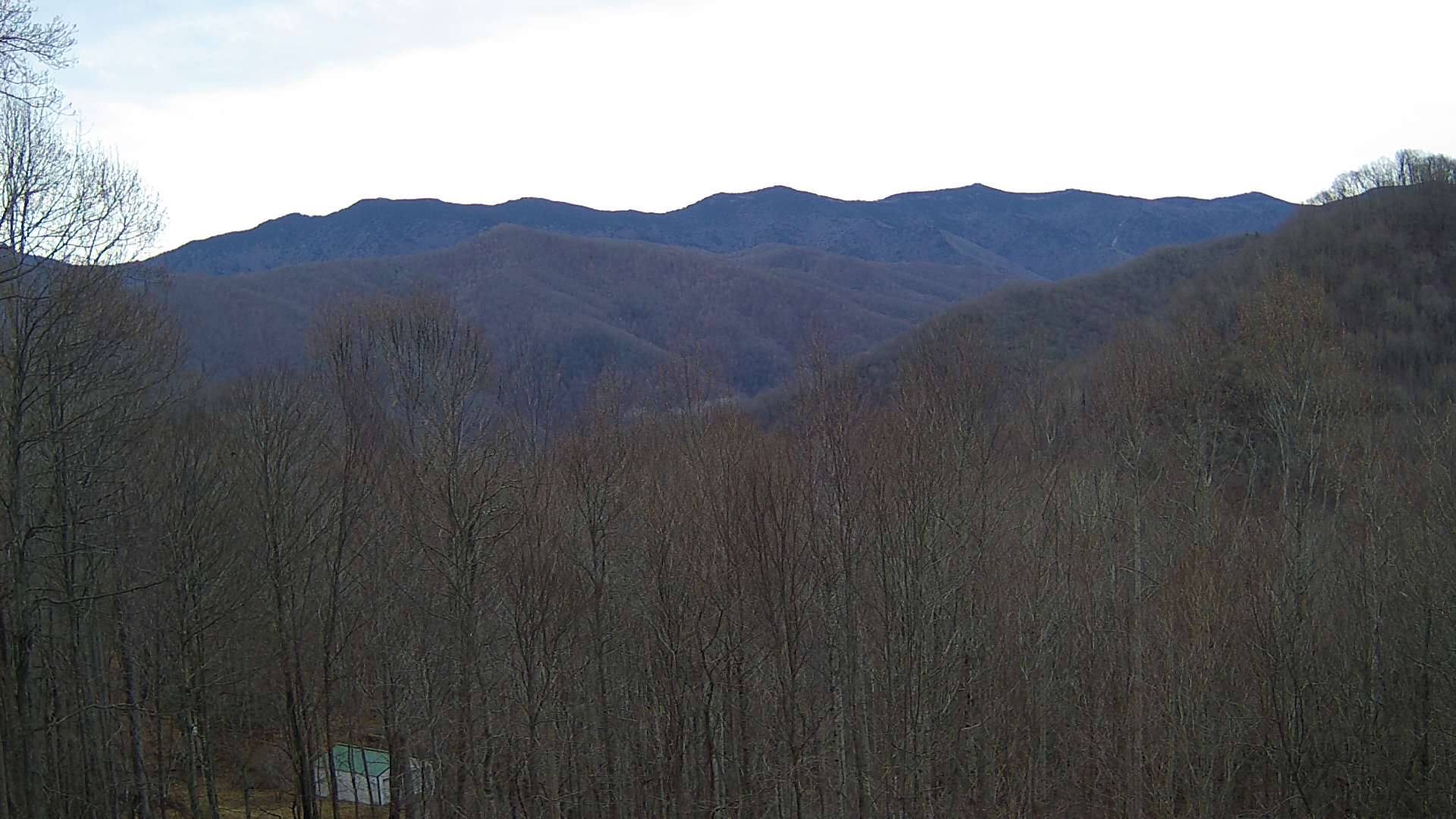 click for next image... slideshow image