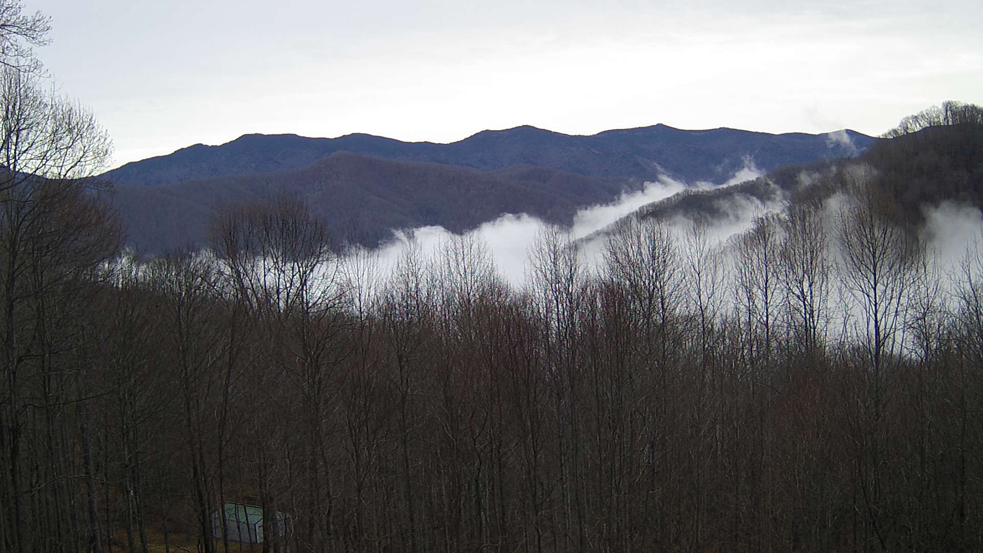 click for next image... slideshow image