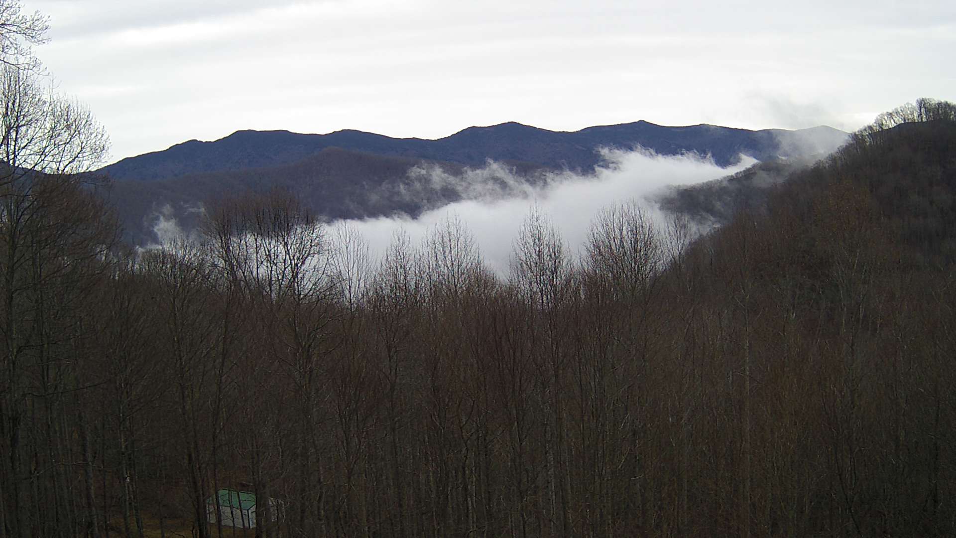 click for next image... slideshow image