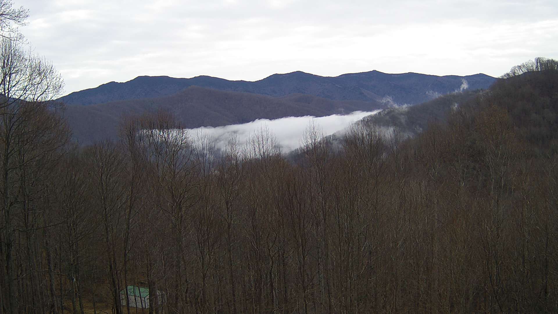 click for next image... slideshow image