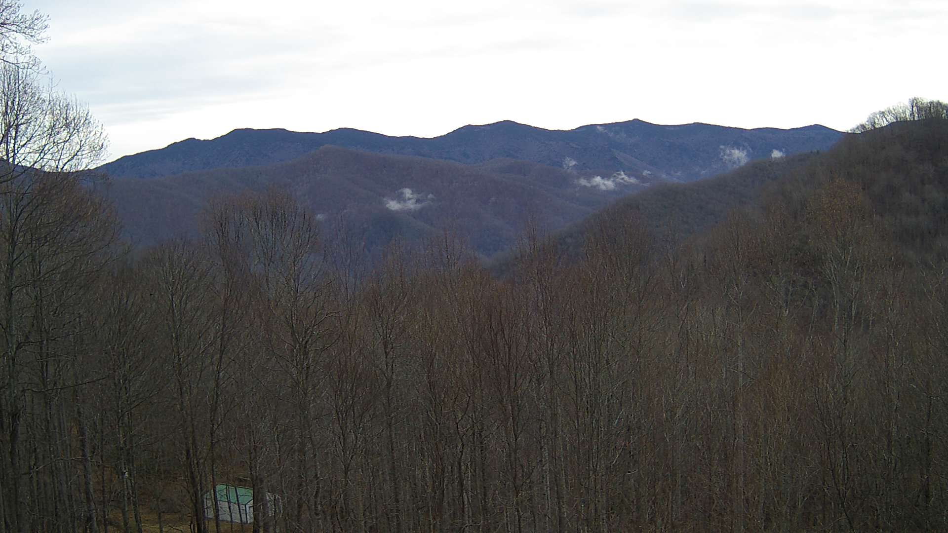 click for next image... slideshow image