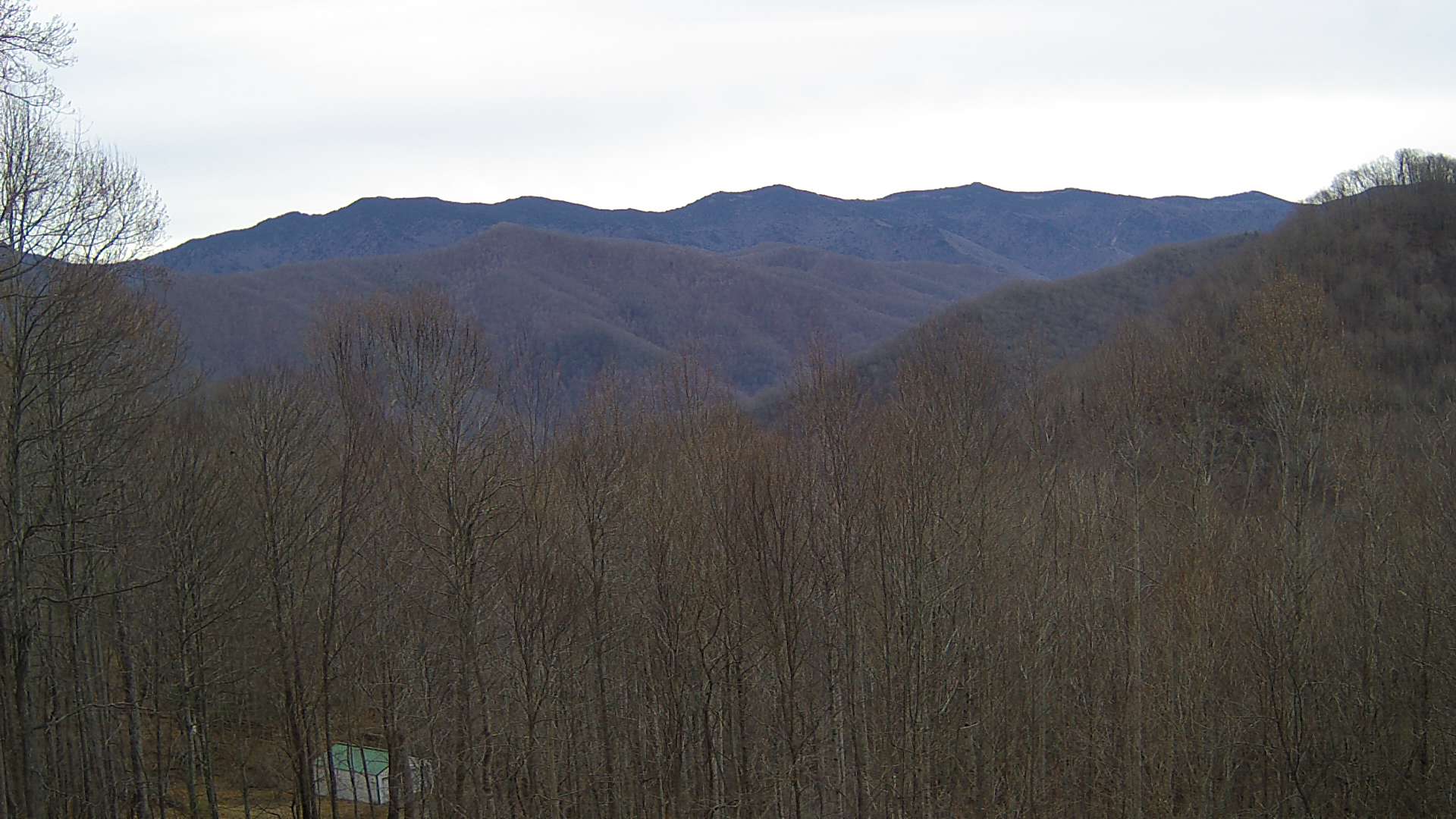 click for next image... slideshow image