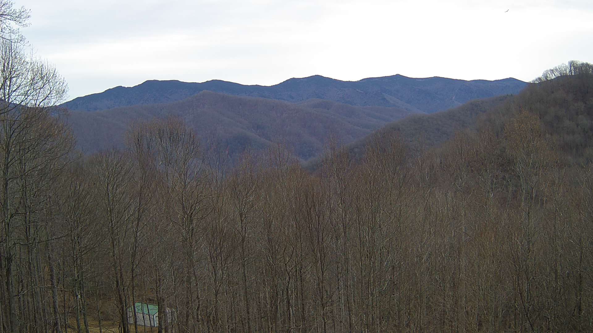 click for next image... slideshow image