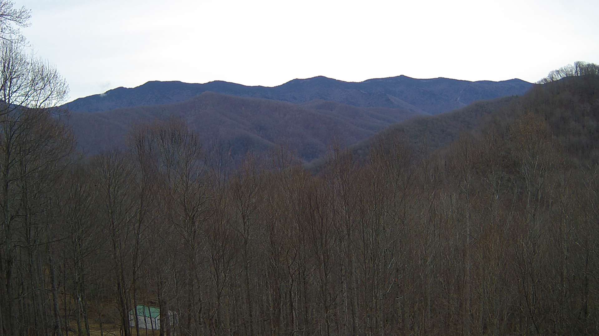 click for next image... slideshow image