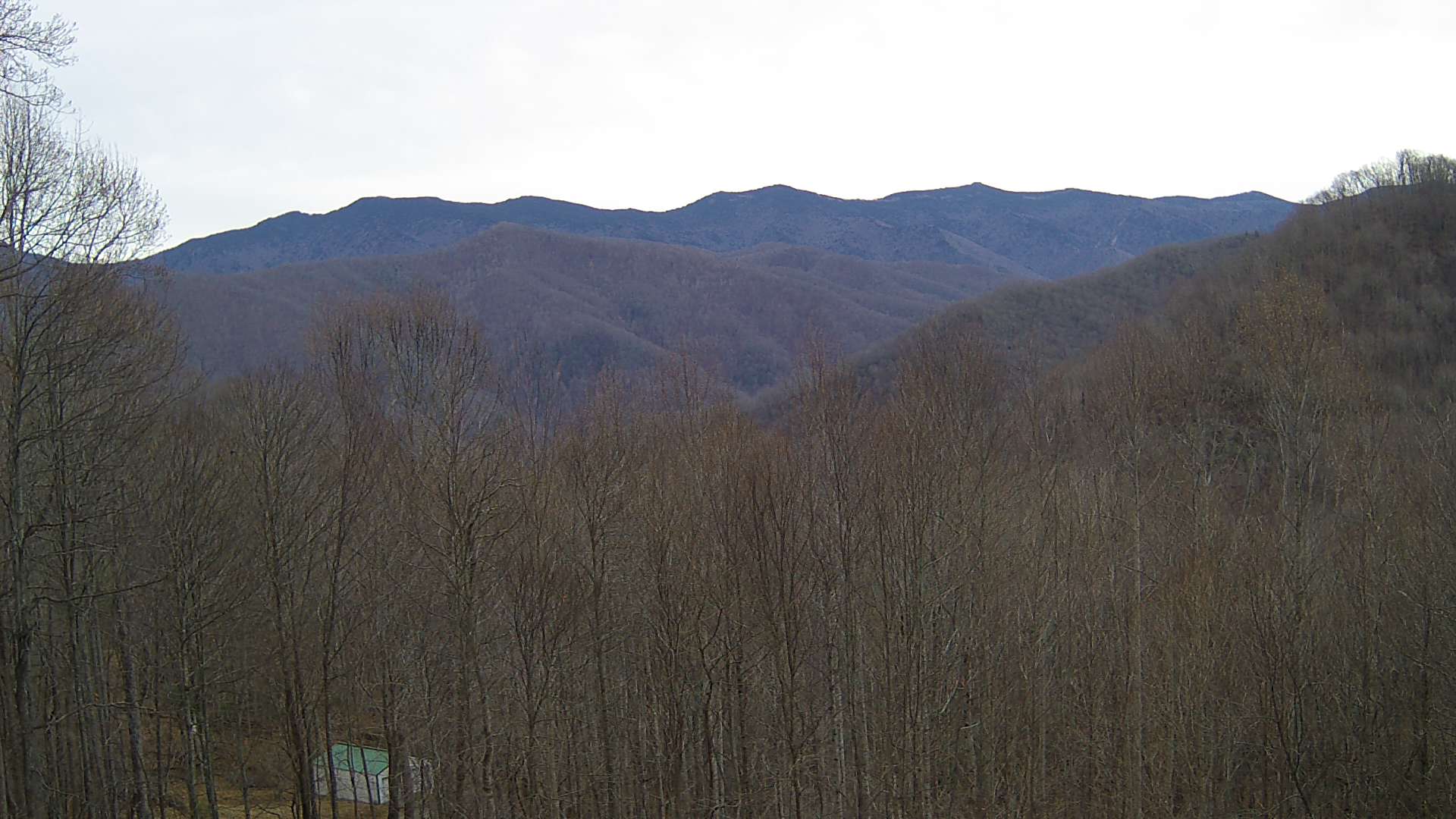 click for next image... slideshow image