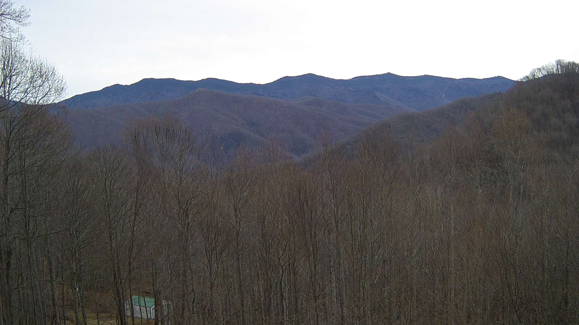 click for next image... slideshow image