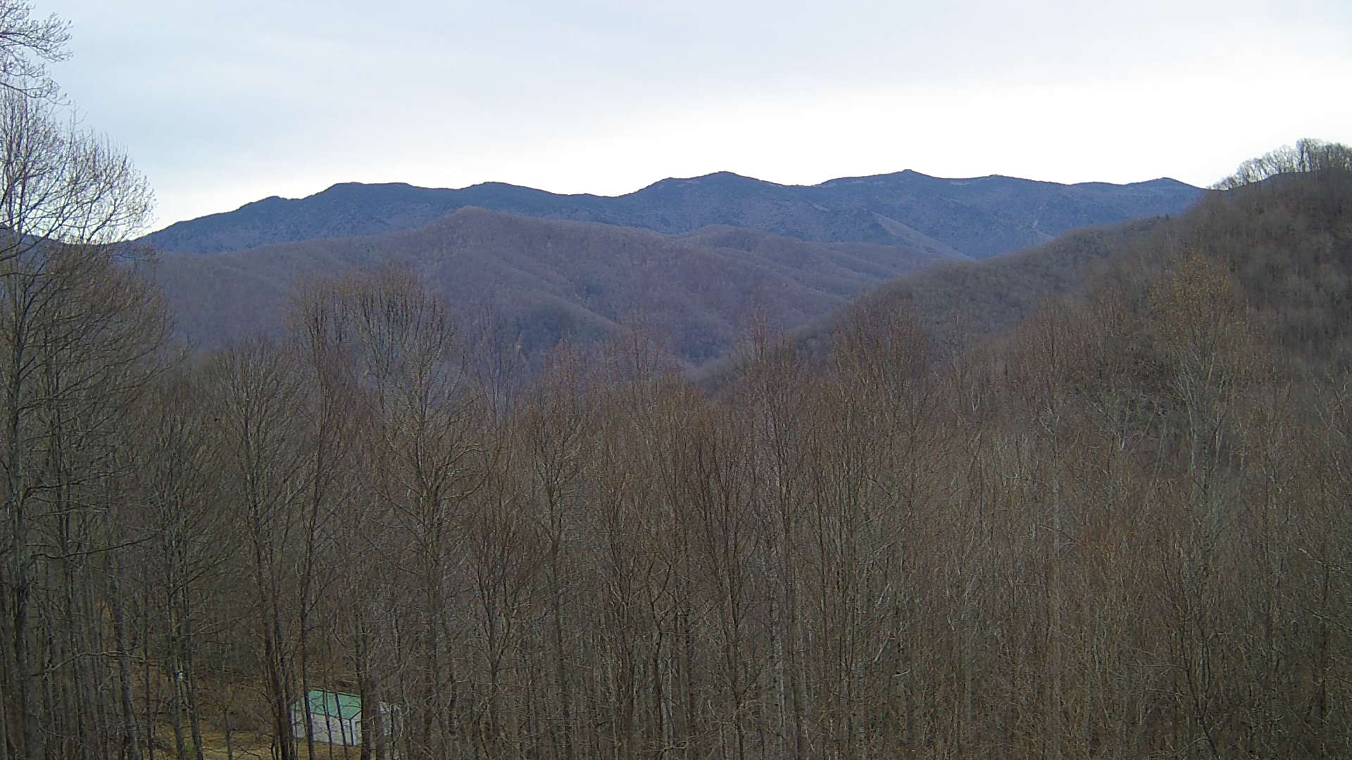 click for next image... slideshow image