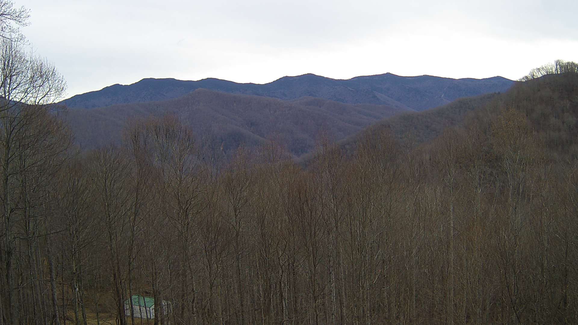 click for next image... slideshow image