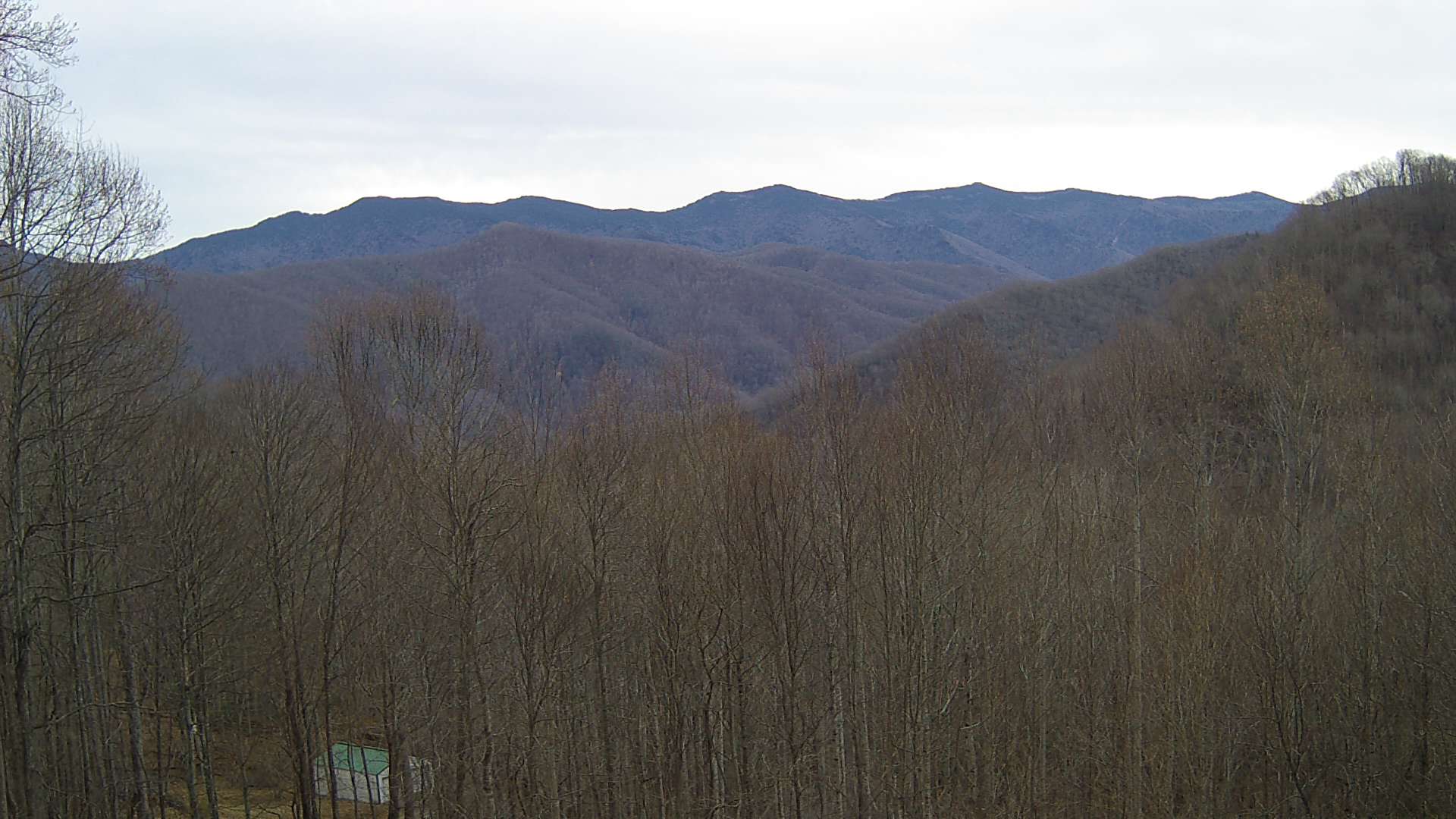 click for next image... slideshow image