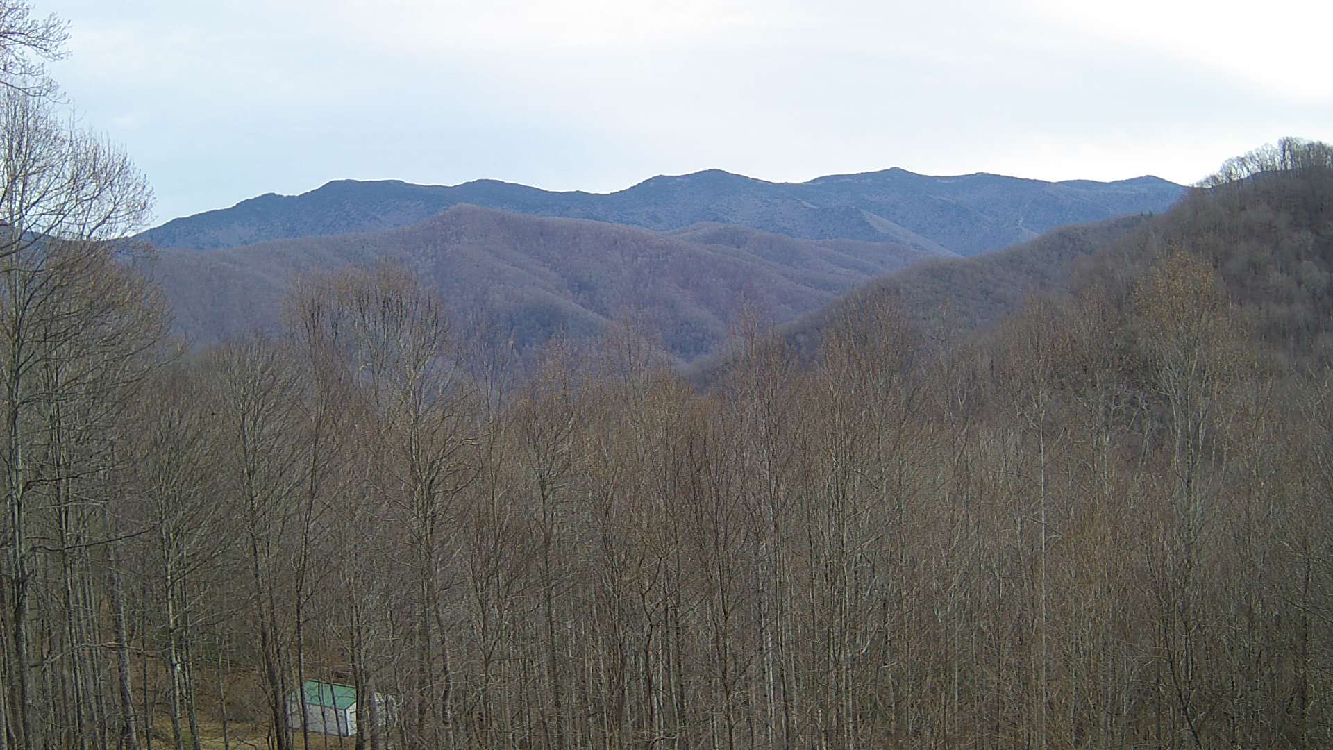 click for next image... slideshow image