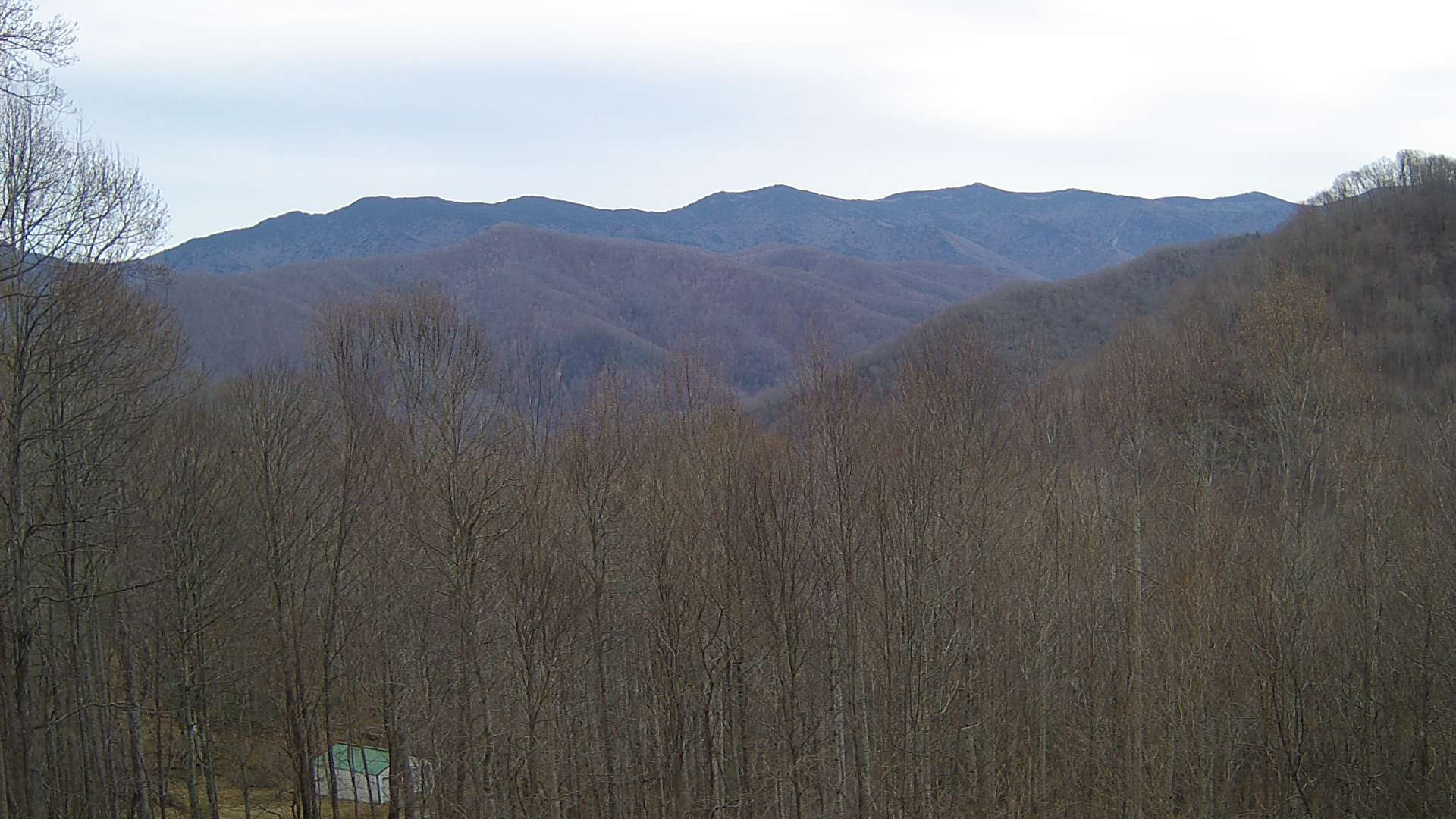 click for next image... slideshow image