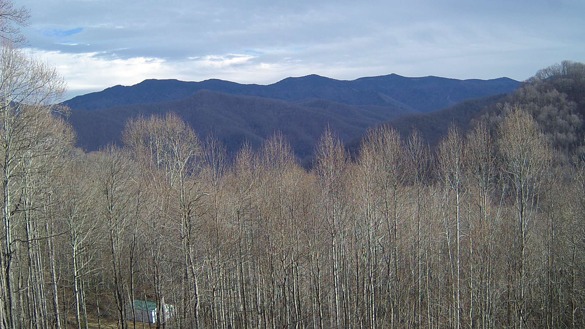 click for next image... slideshow image