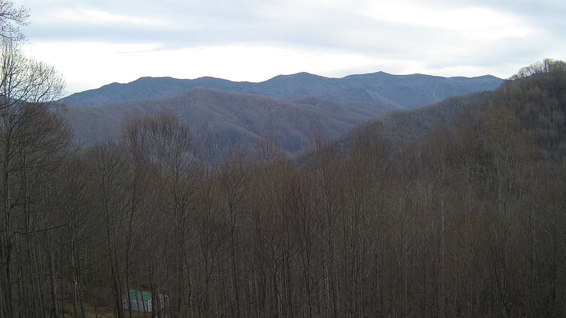 click for next image... slideshow image