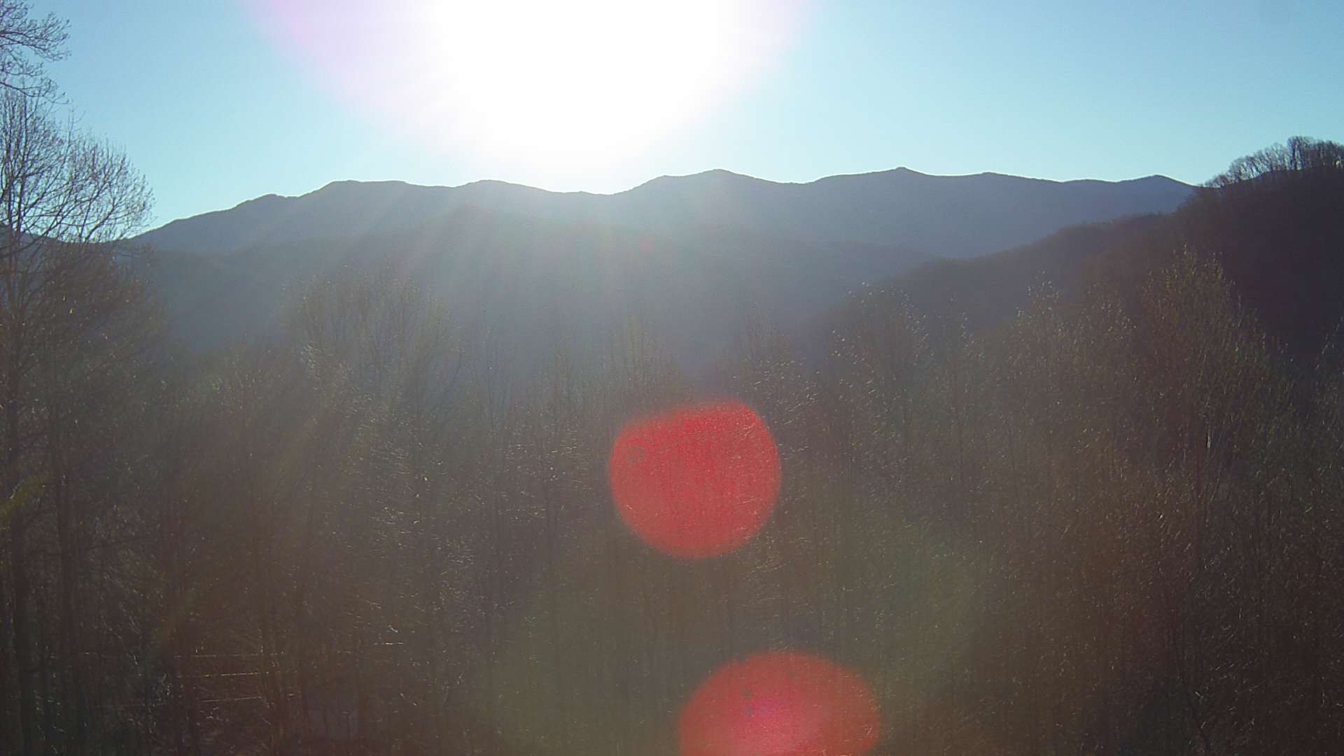 click for next image... slideshow image