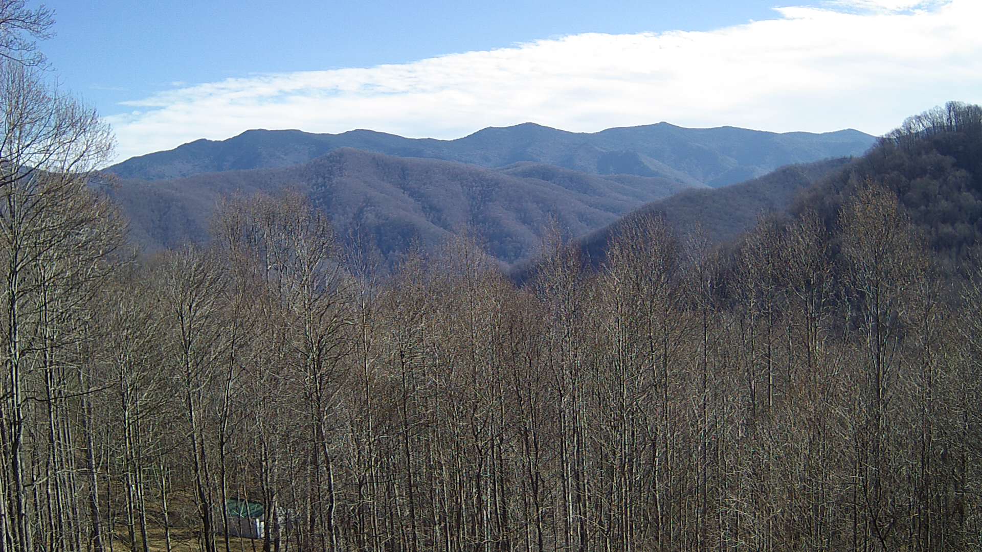 click for next image... slideshow image