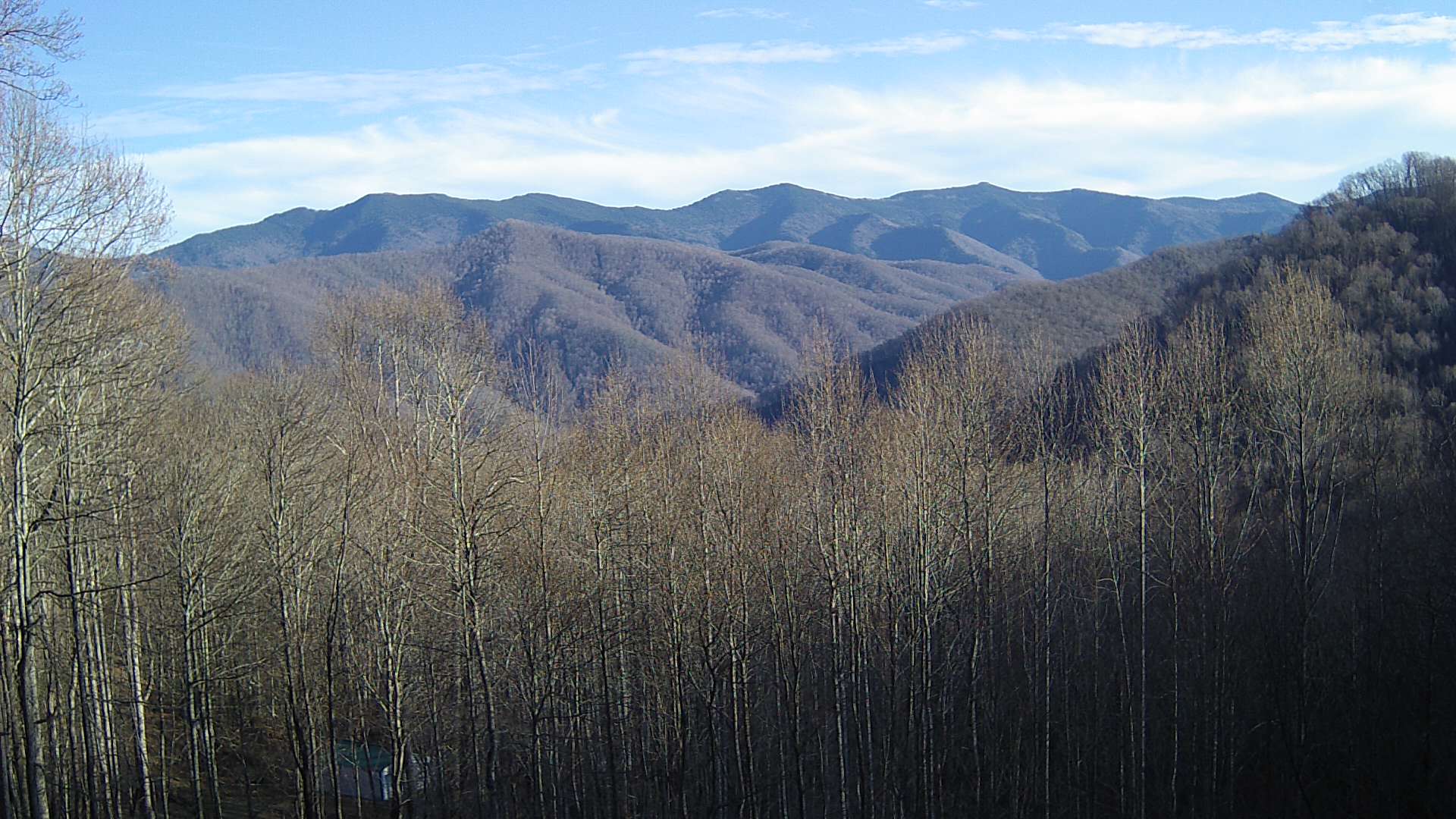 click for next image... slideshow image