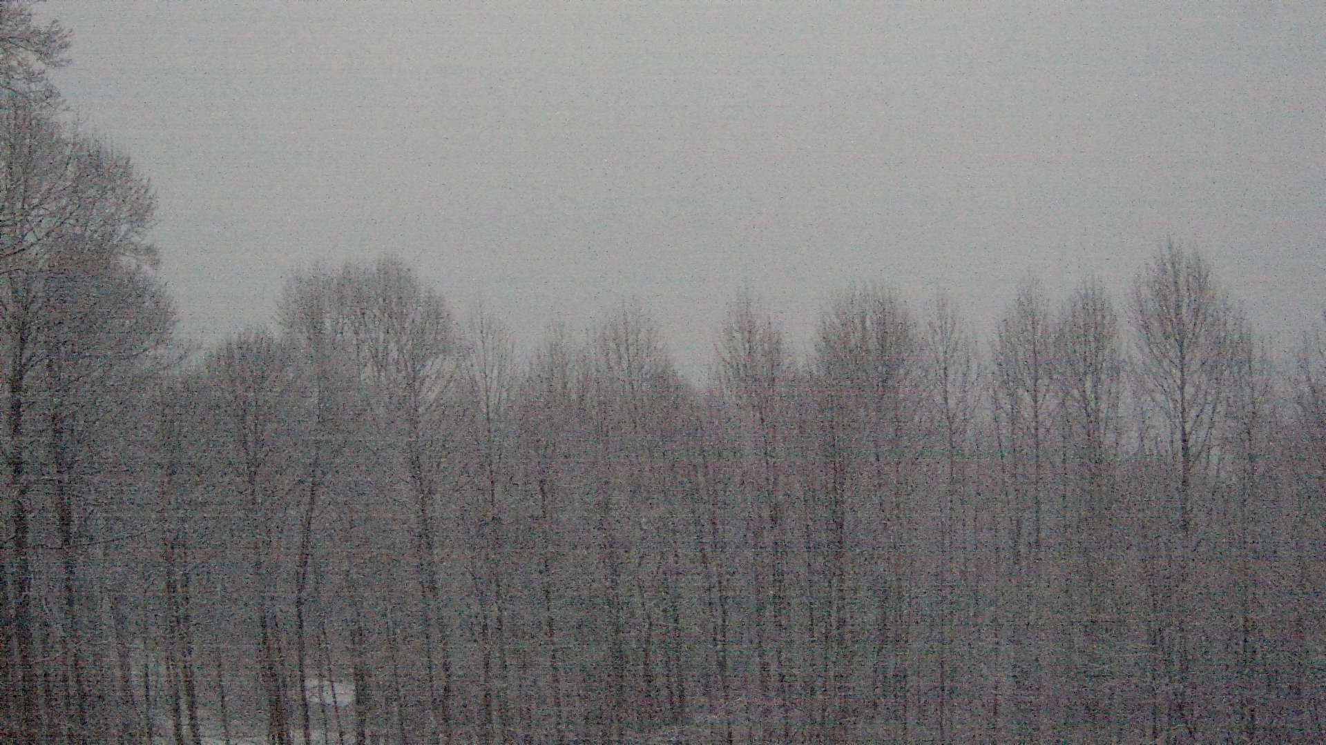 click for next image... slideshow image