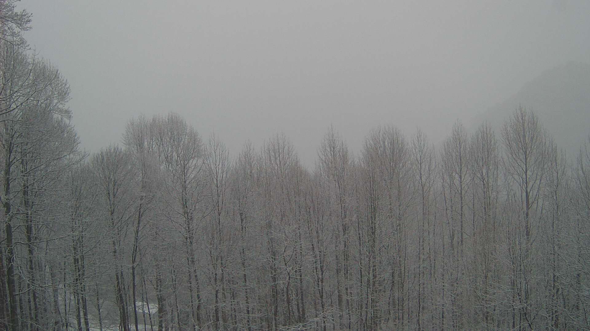 click for next image... slideshow image