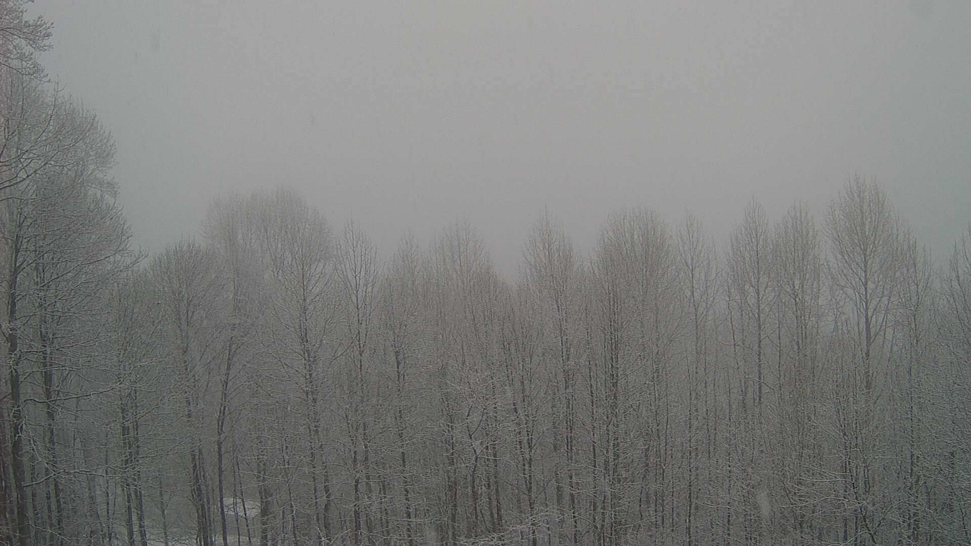 click for next image... slideshow image