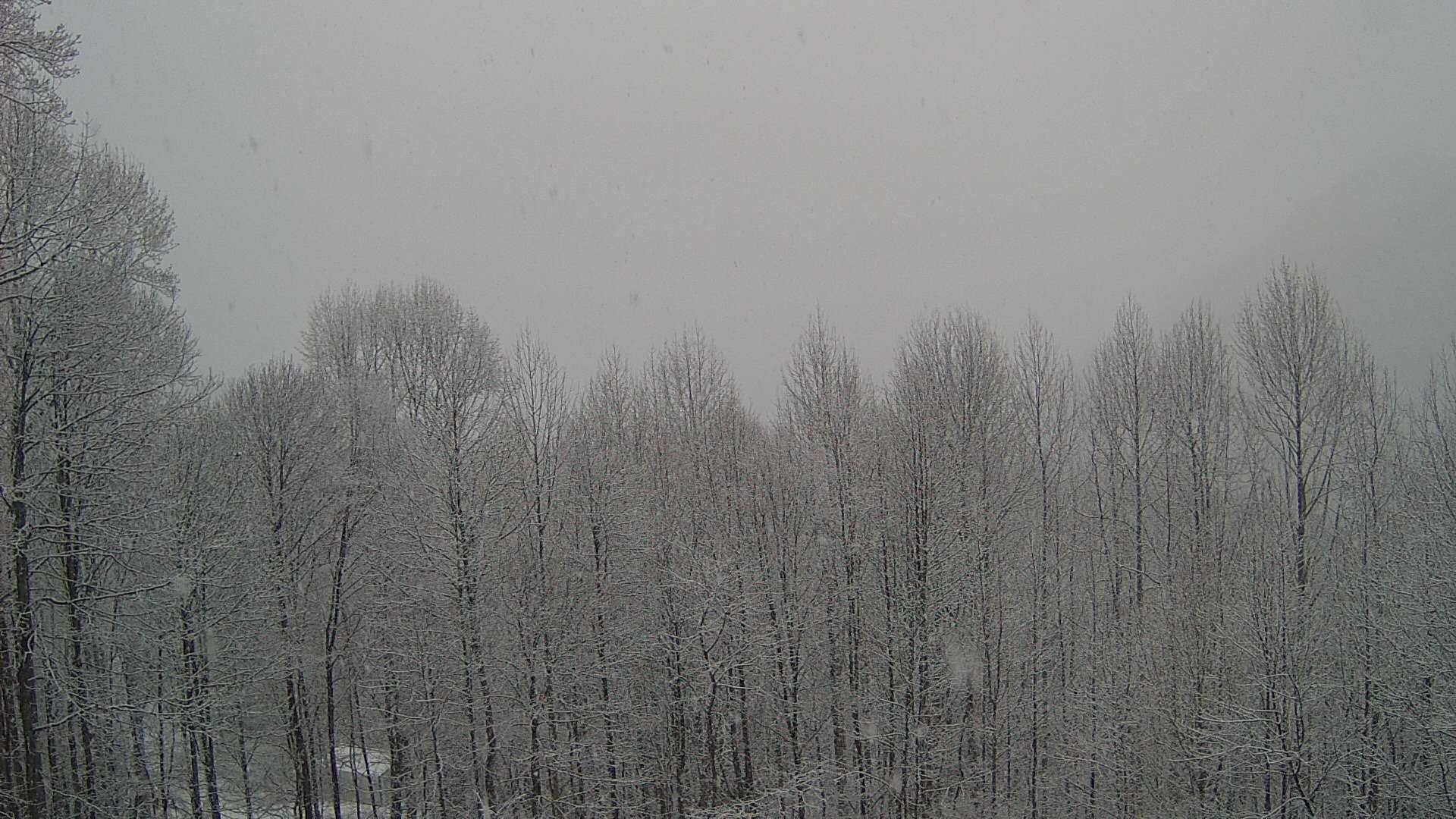 click for next image... slideshow image