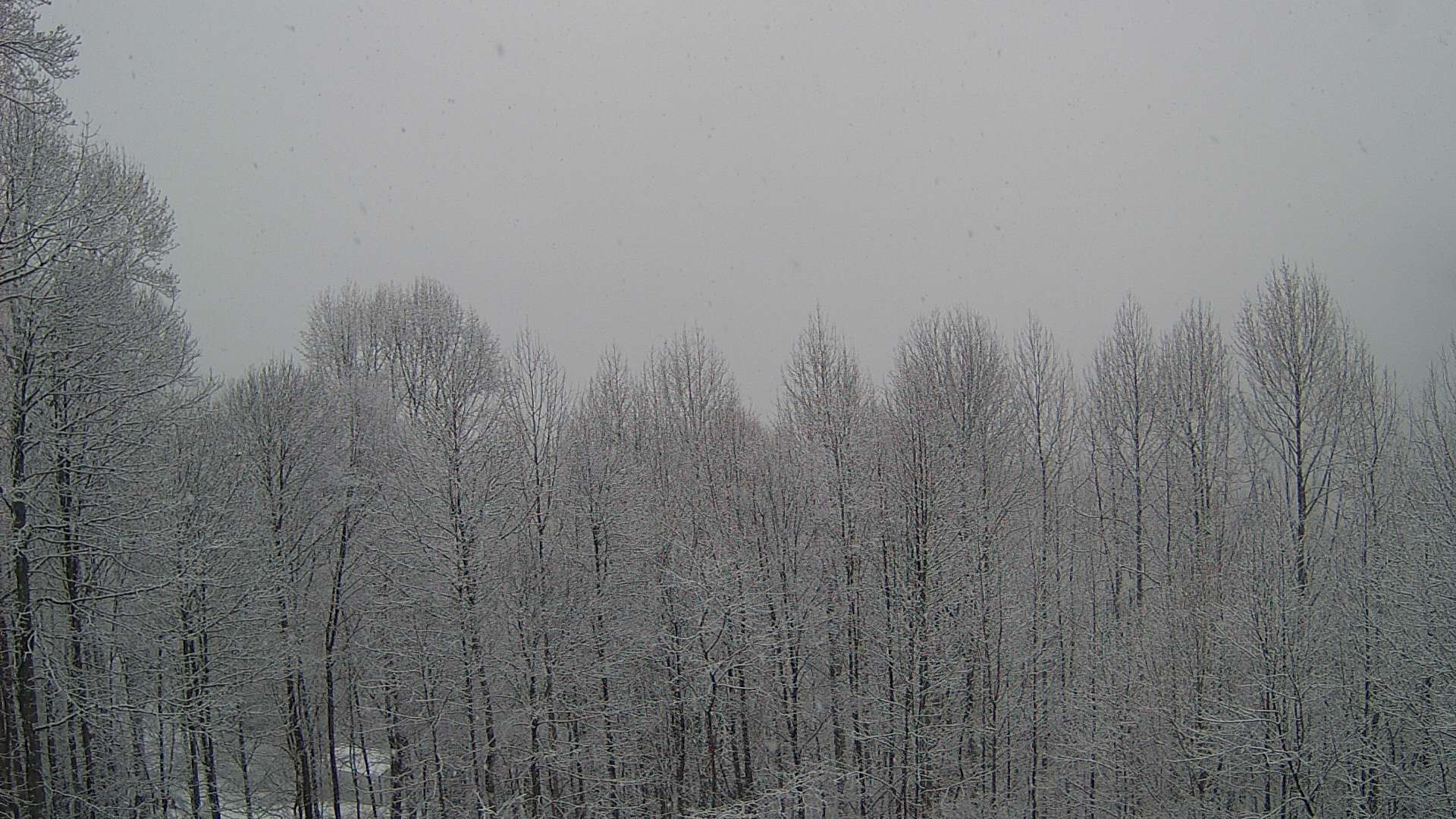 click for next image... slideshow image