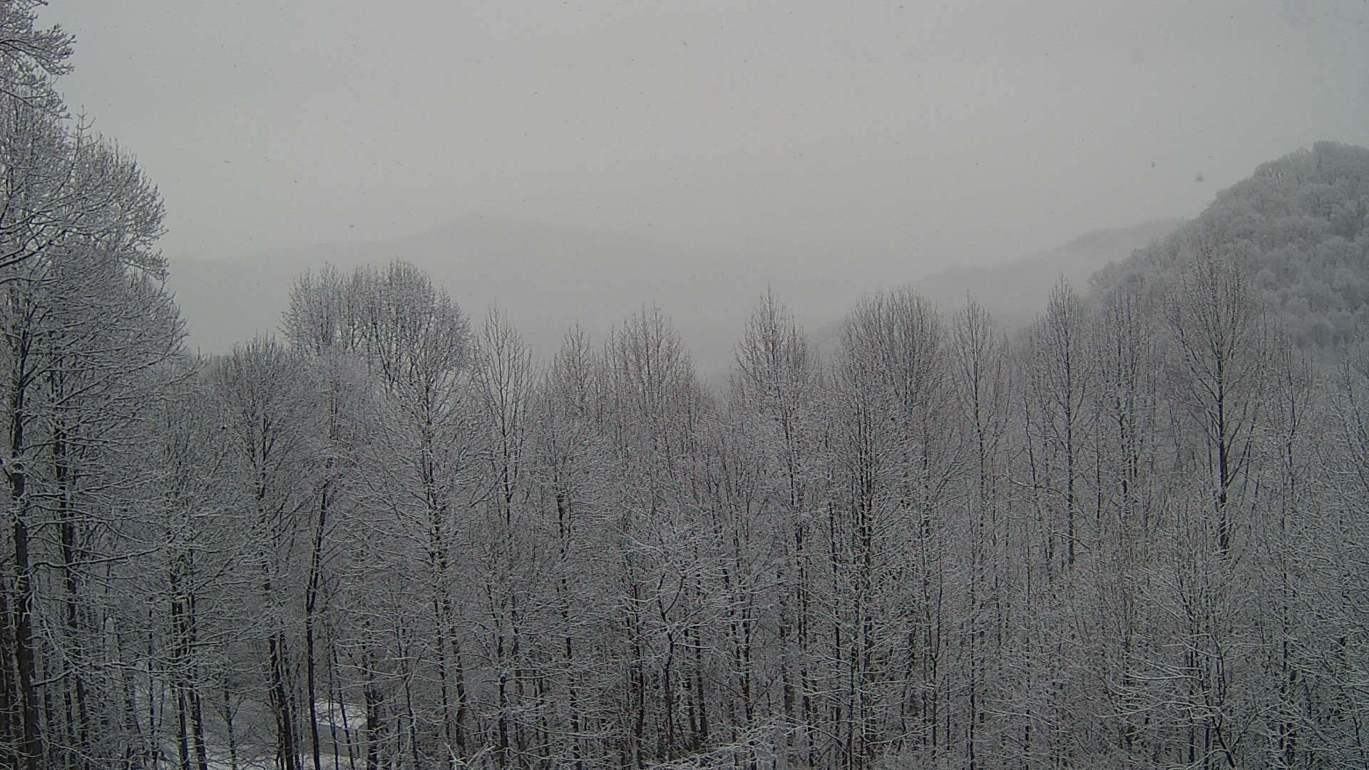 click for next image... slideshow image