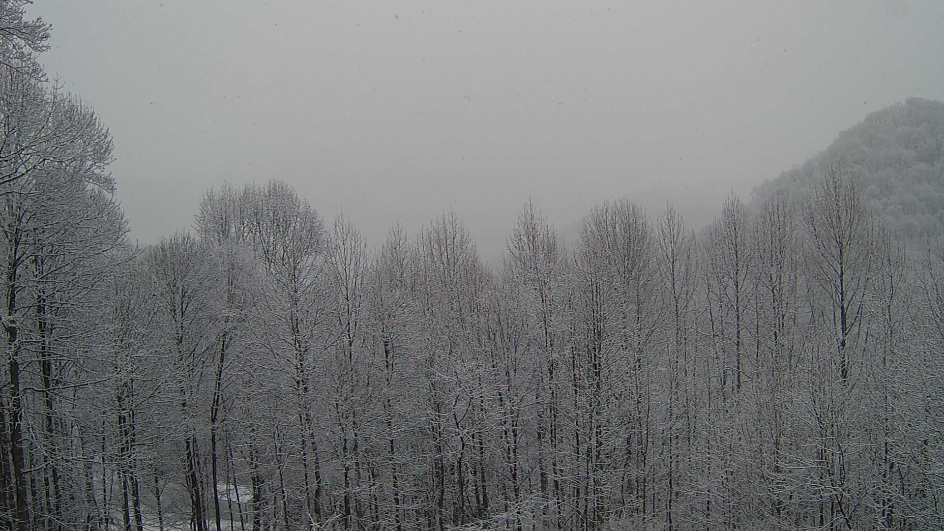 click for next image... slideshow image