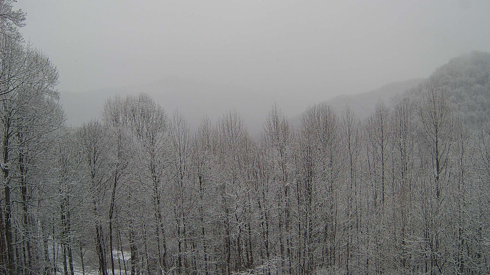 click for next image... slideshow image