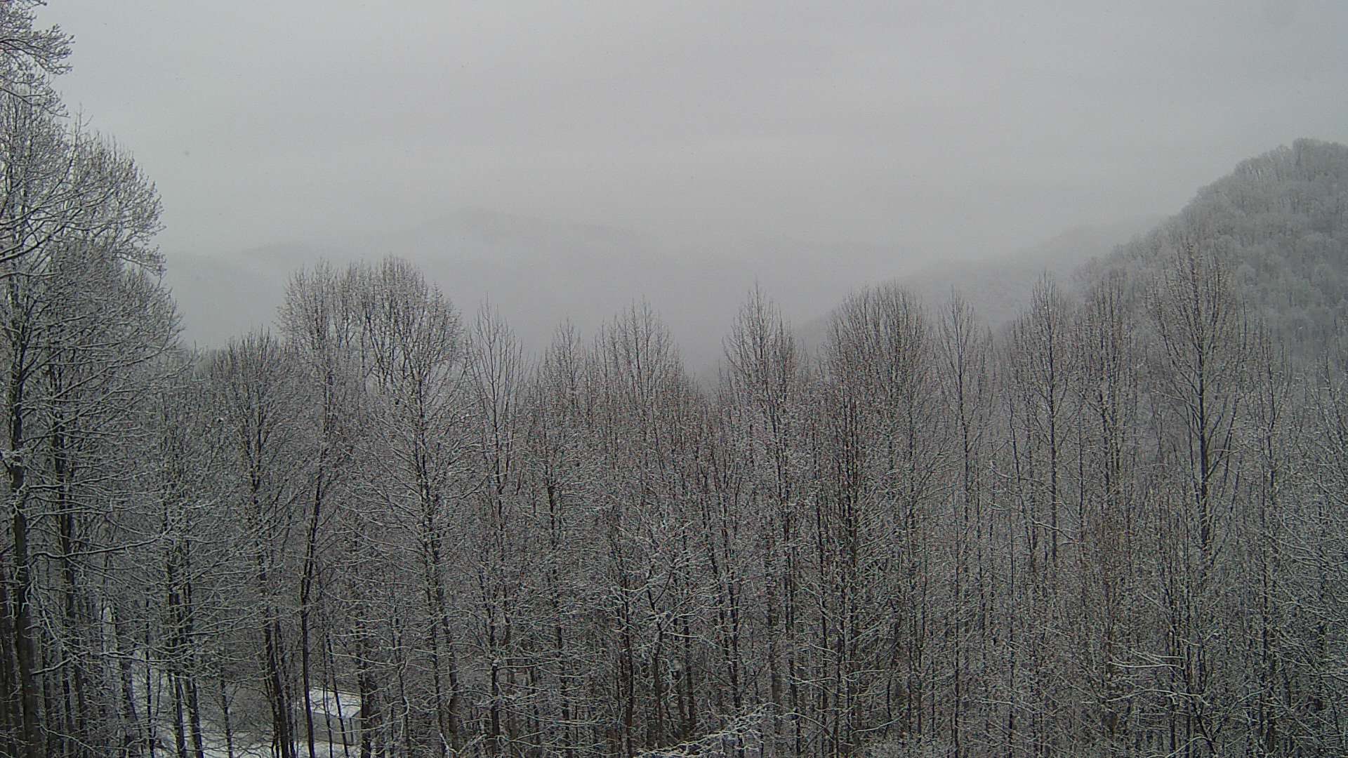 click for next image... slideshow image