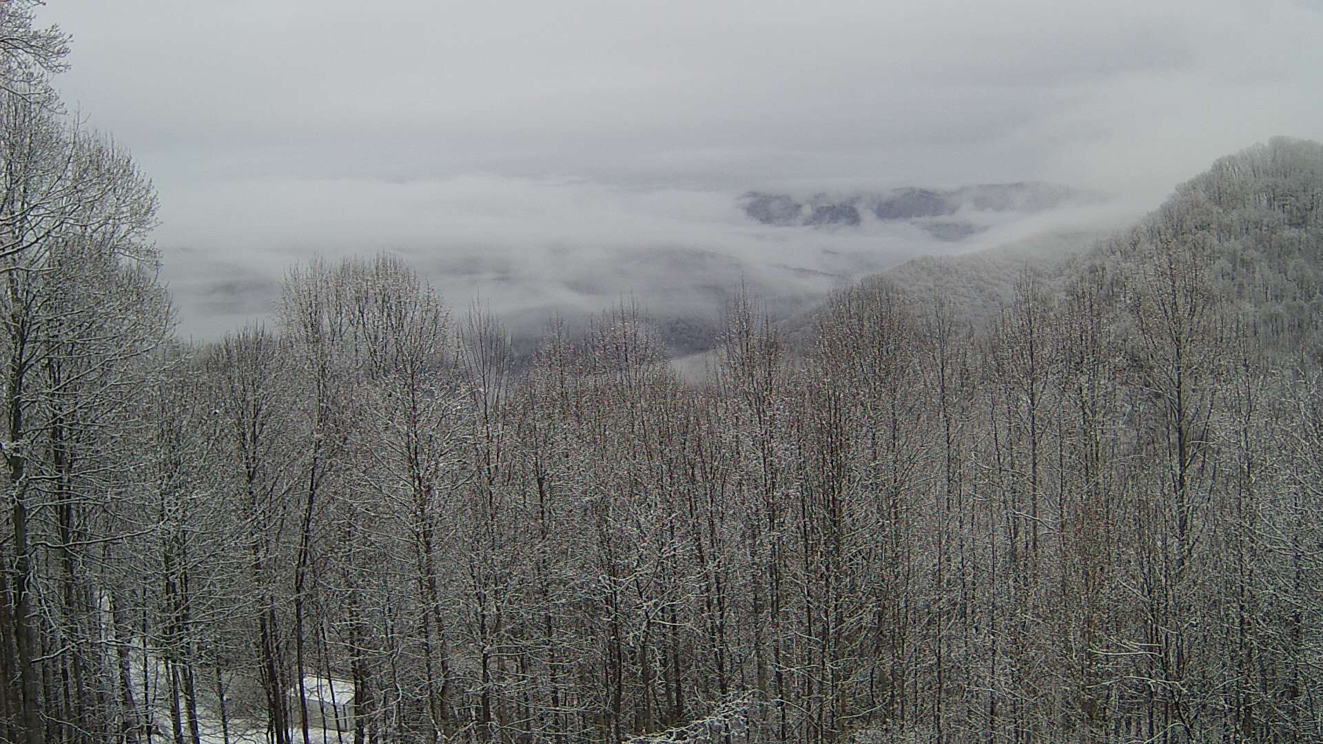 click for next image... slideshow image