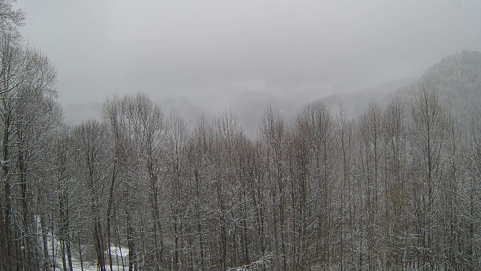 click for next image... slideshow image