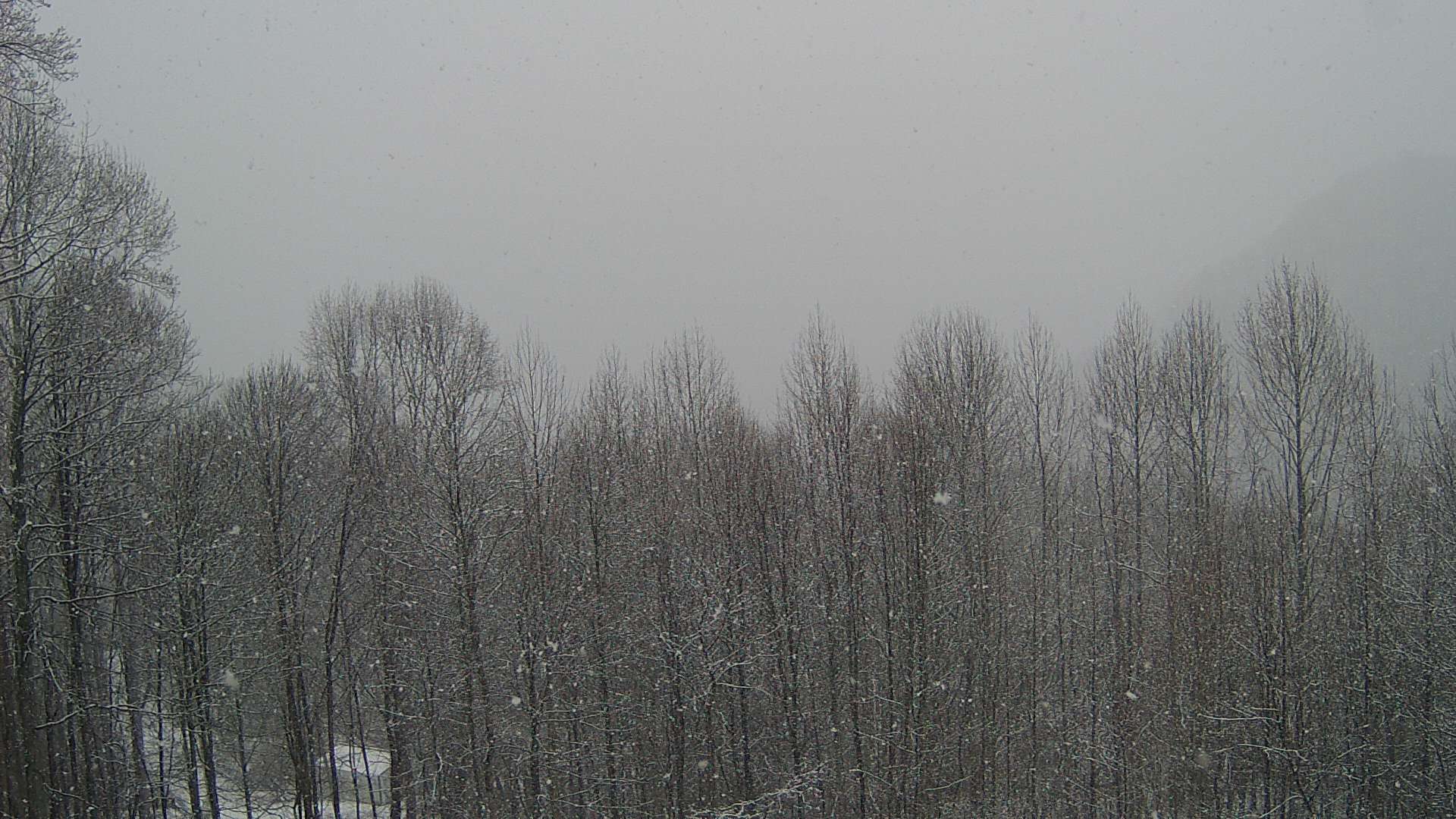 click for next image... slideshow image