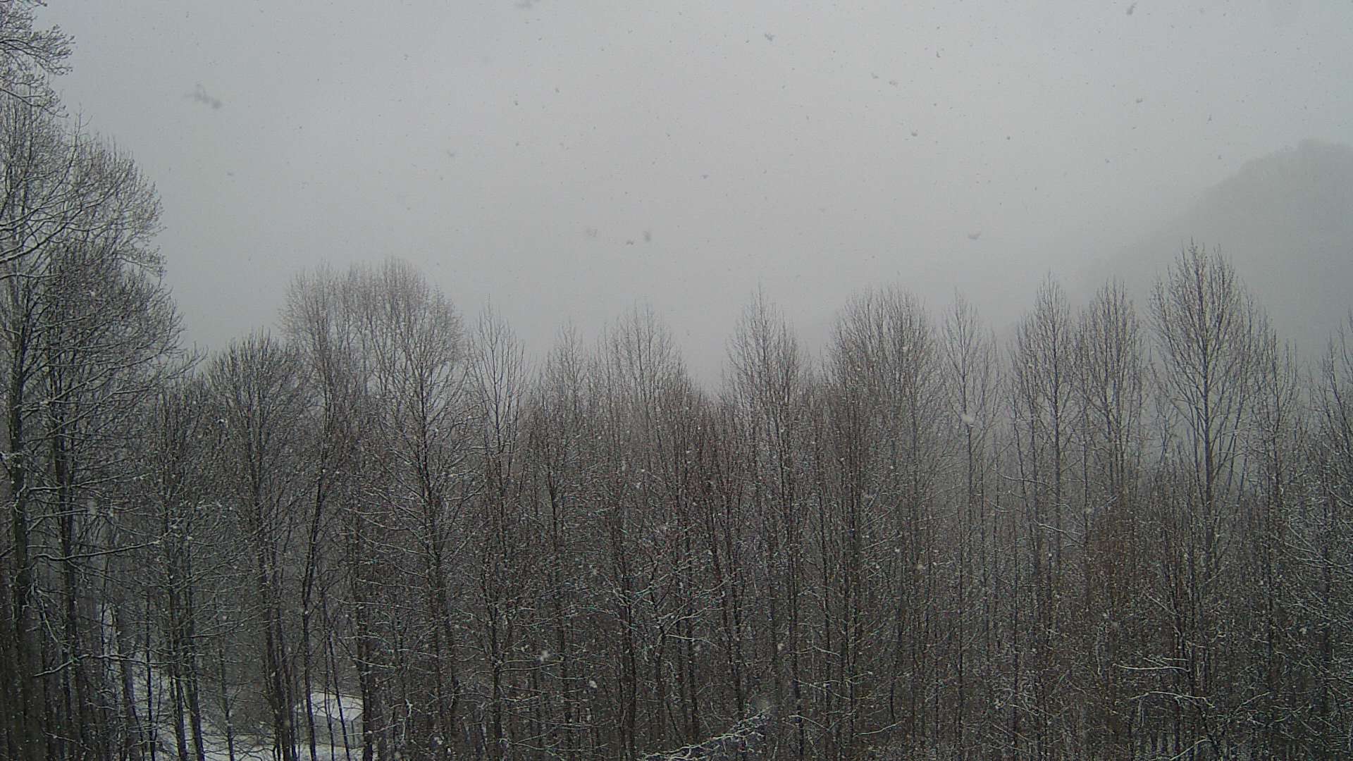 click for next image... slideshow image