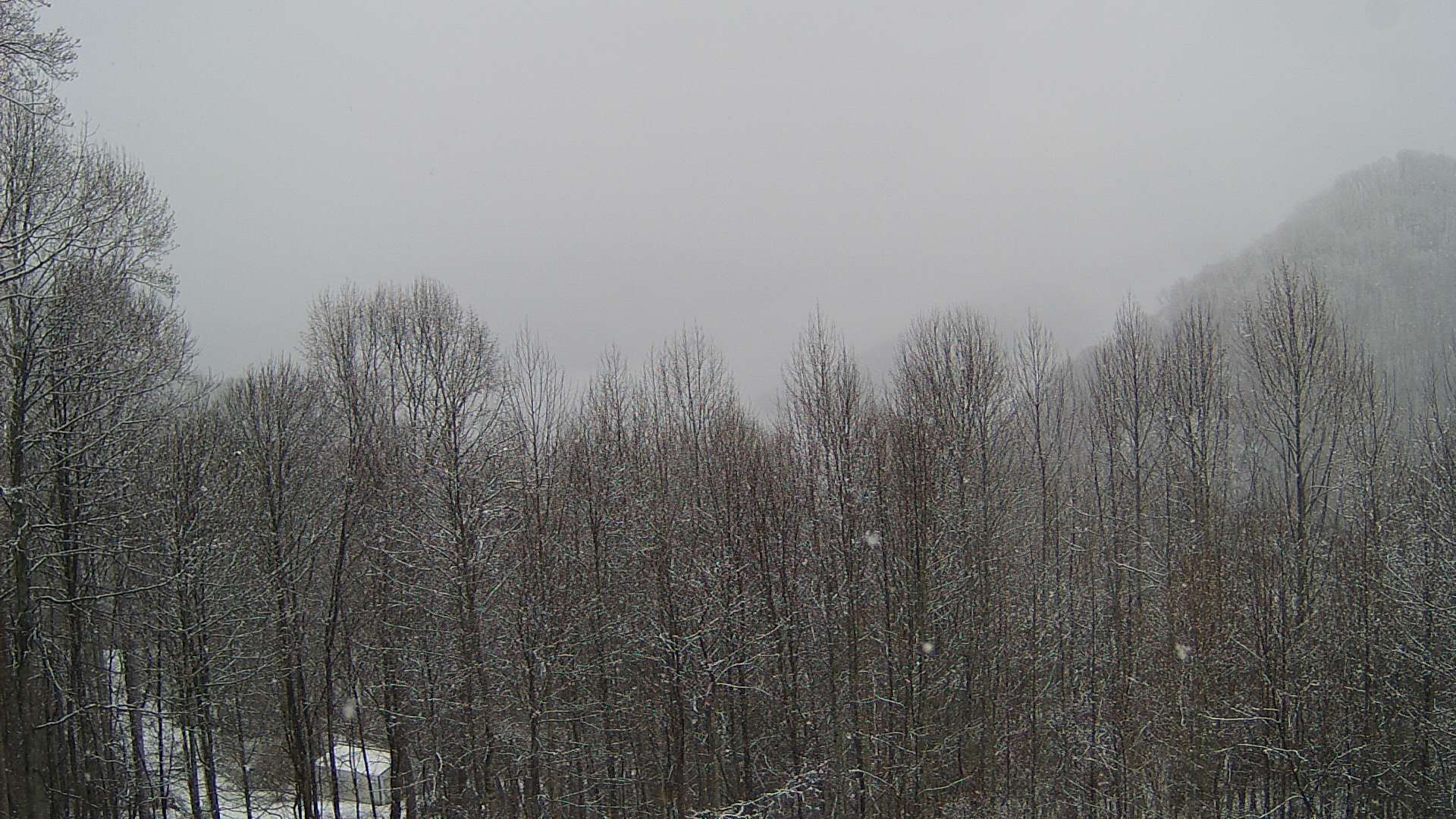 click for next image... slideshow image