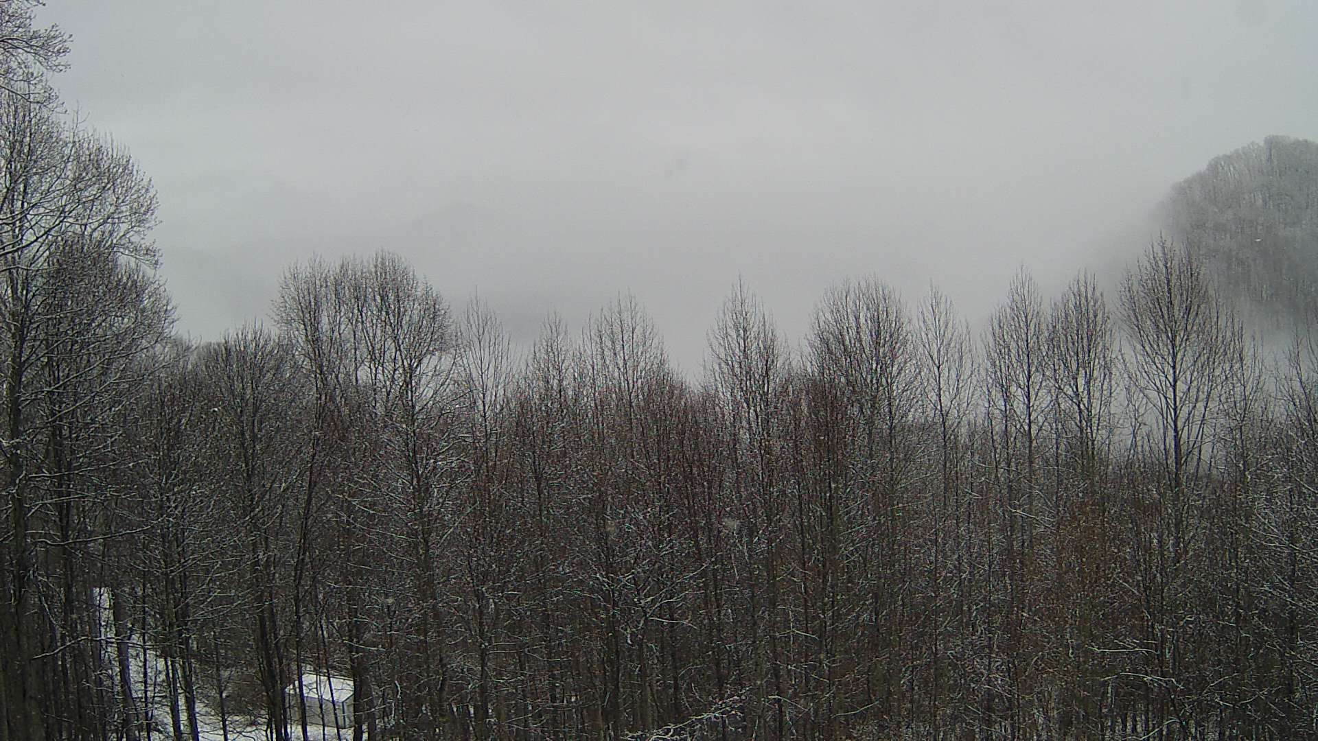 click for next image... slideshow image